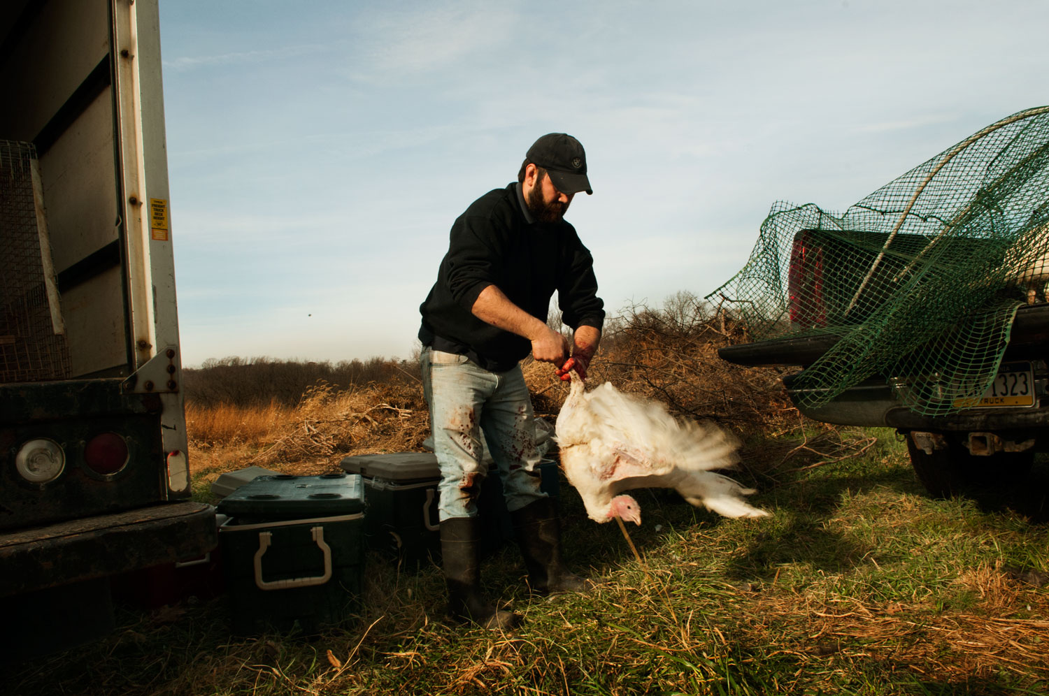 turkey processing