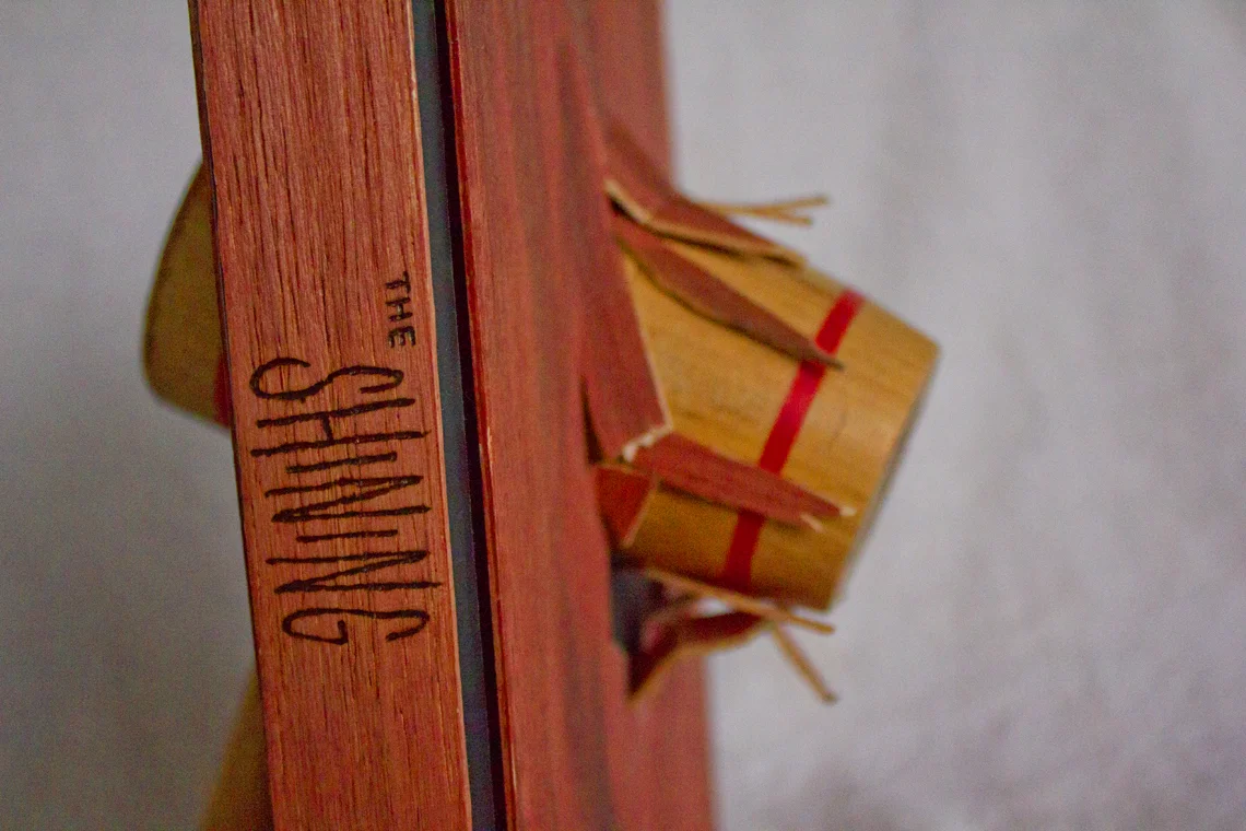 shine front close.jpg