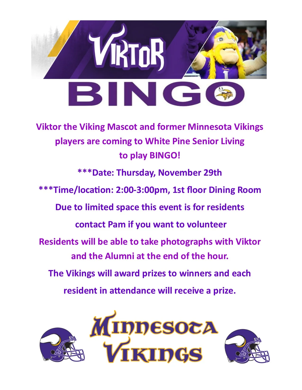 Vikings flyer2.jpg