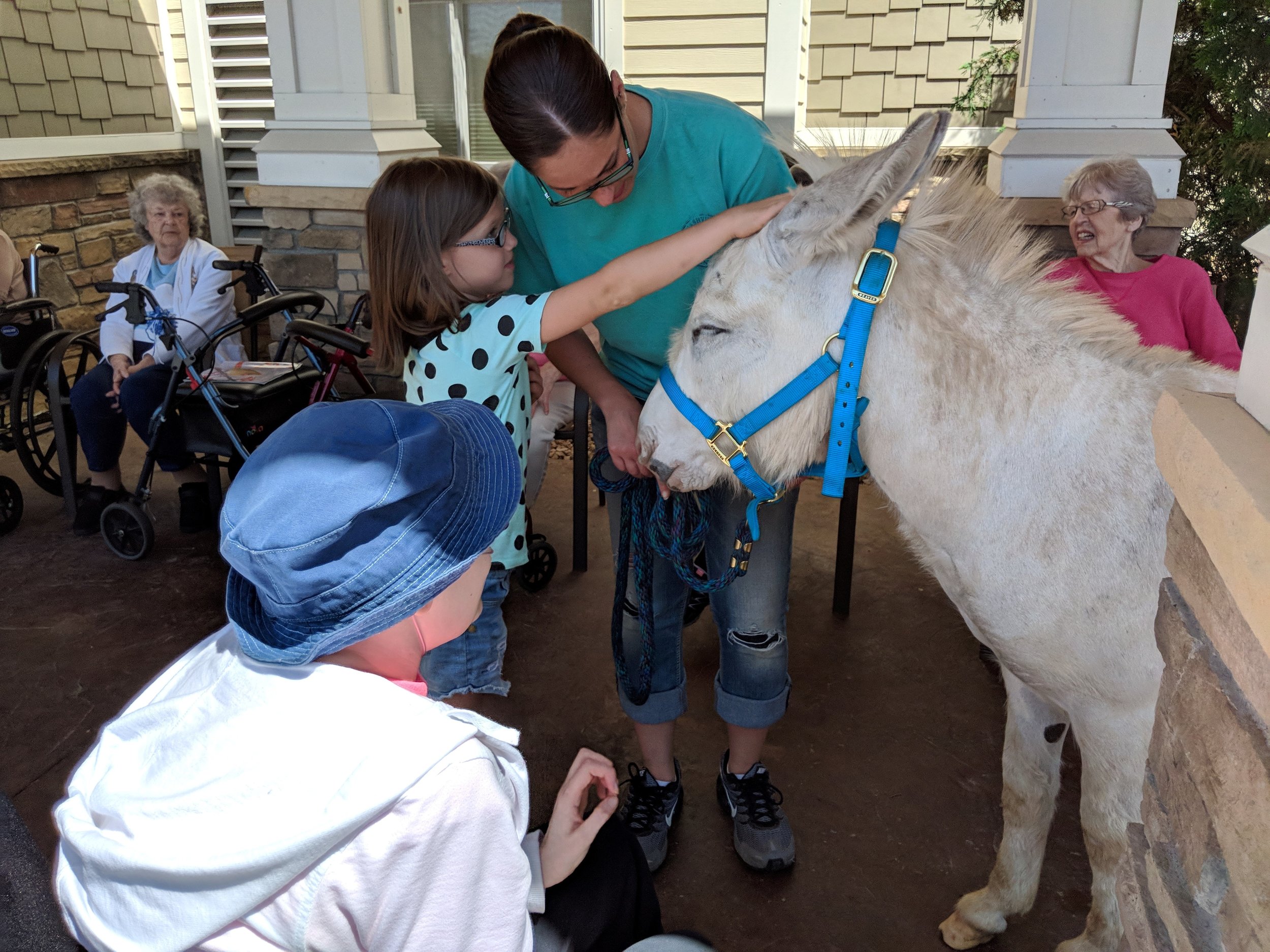 A visit from a fair calf & a donkey!! Thank you Courtney for sharing your time and animals with our tenants!.jpg