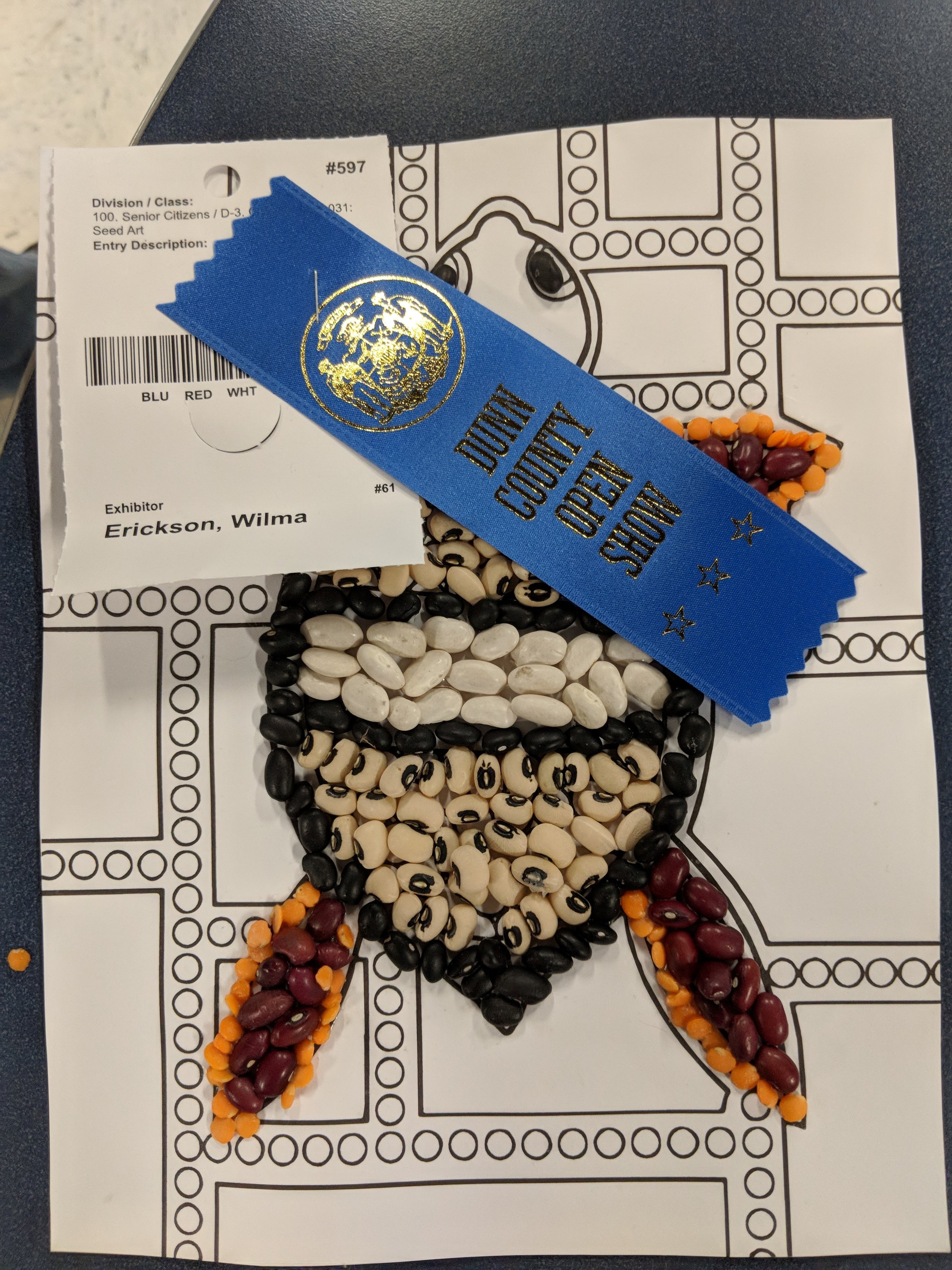 County Fair 2019! We have some ribbons!! 5.jpg