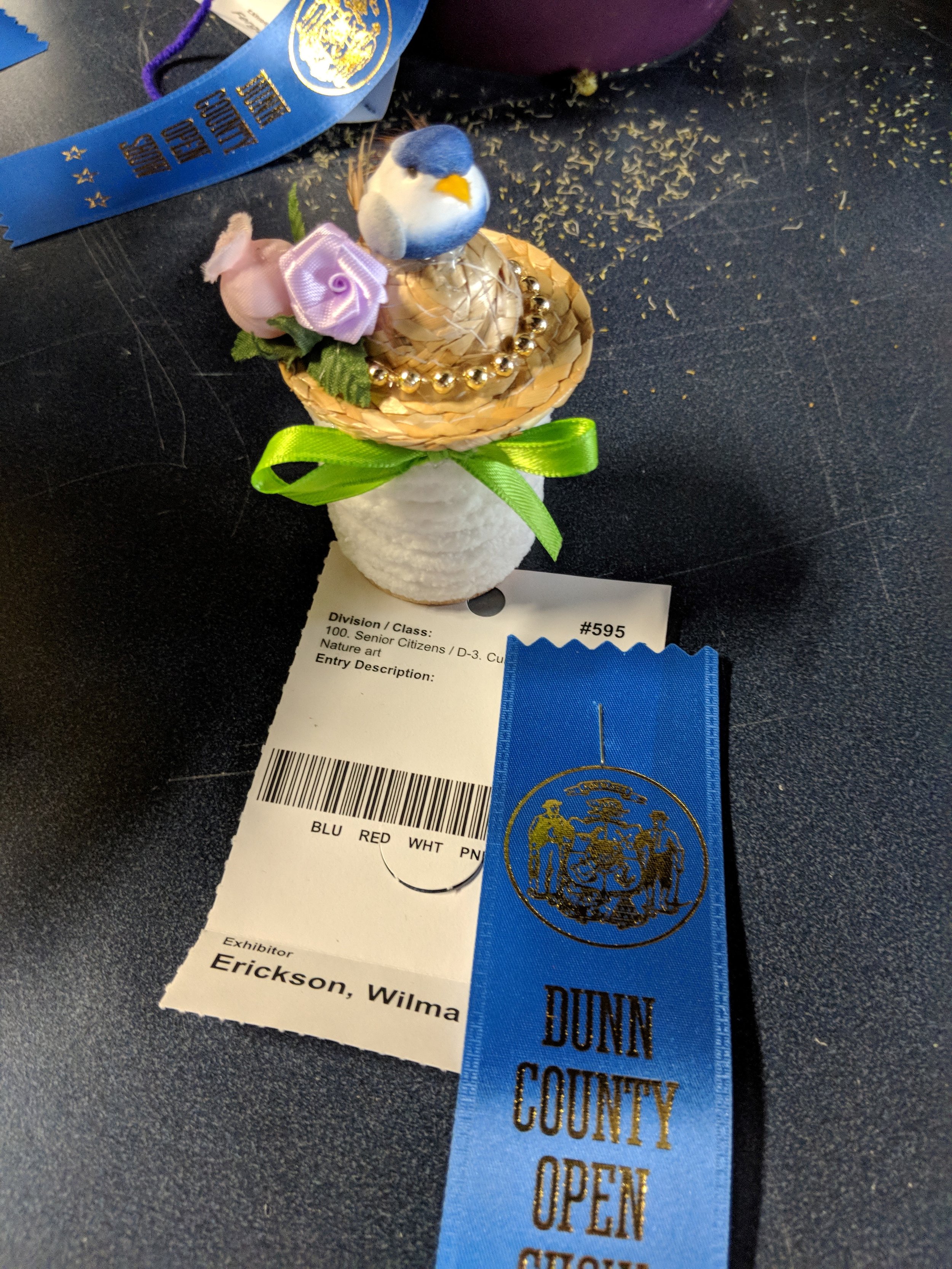 County Fair 2019! We have some ribbons!! 9.jpg