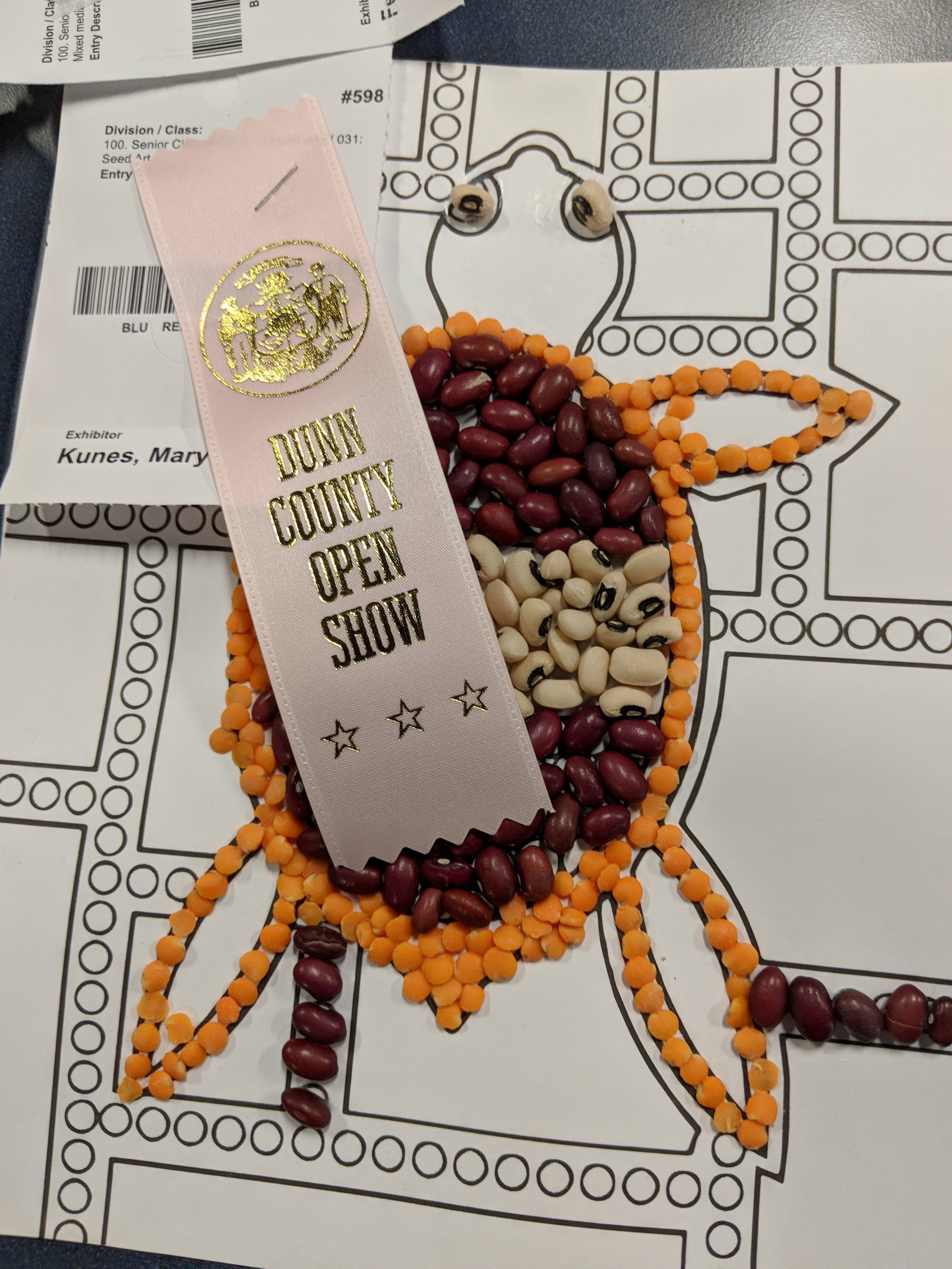 County Fair 2019! We have some ribbons!! 3.jpg