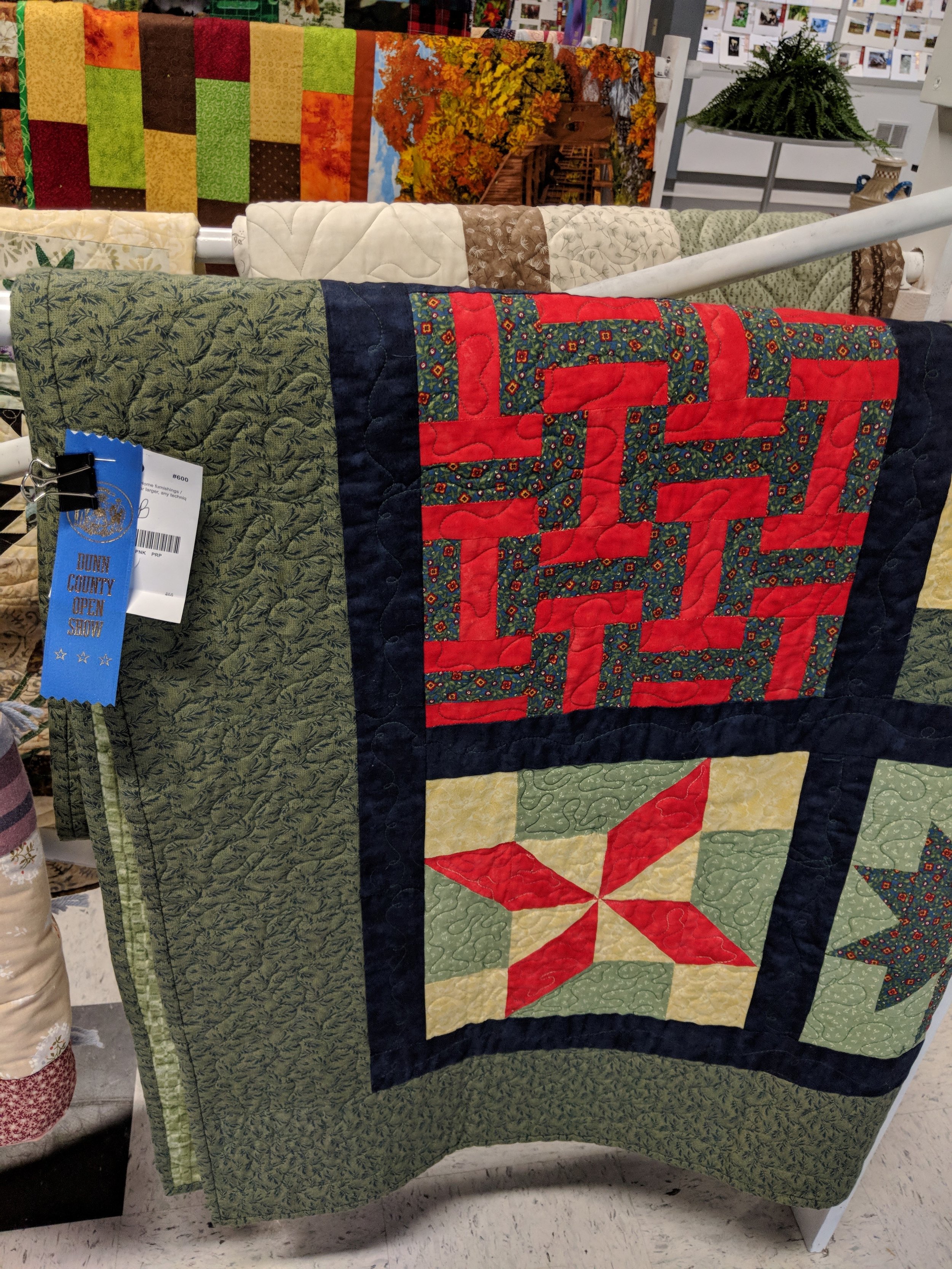 Our two quilt entries from the fair. Both won blue ribbons!!.jpg