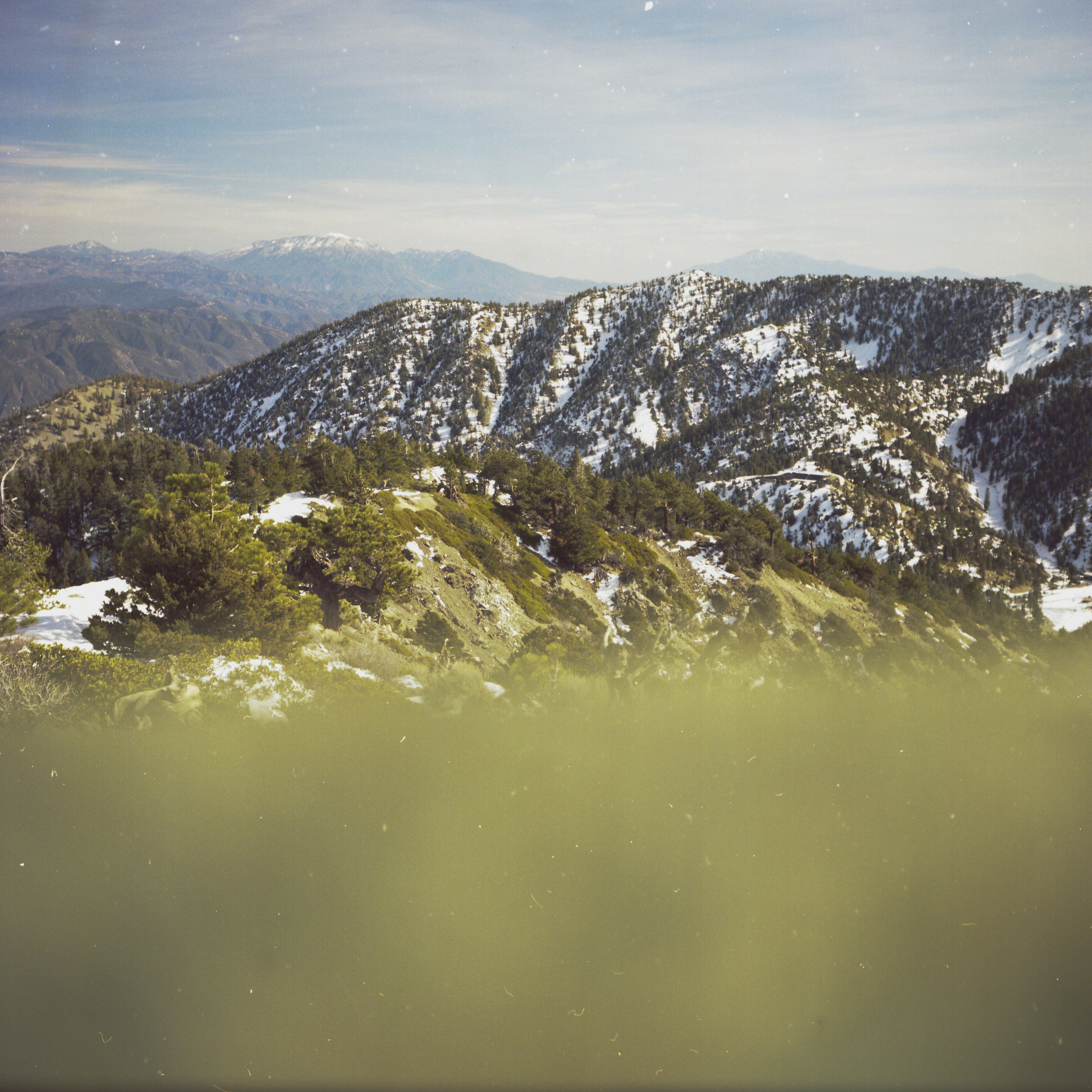 Feb_Batch_Scan_CC_035.jpg
