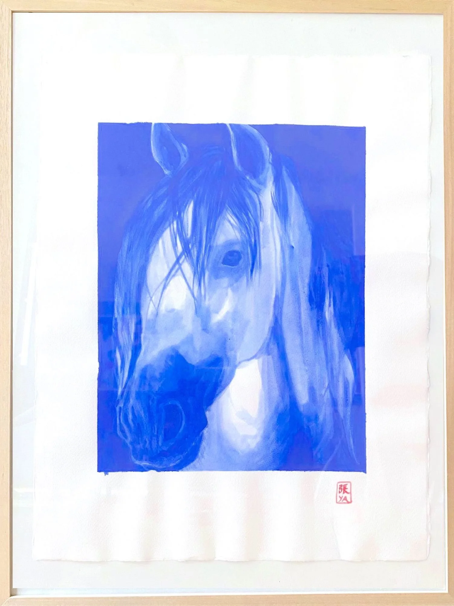 White blue horse head_2_Cropped.jpeg