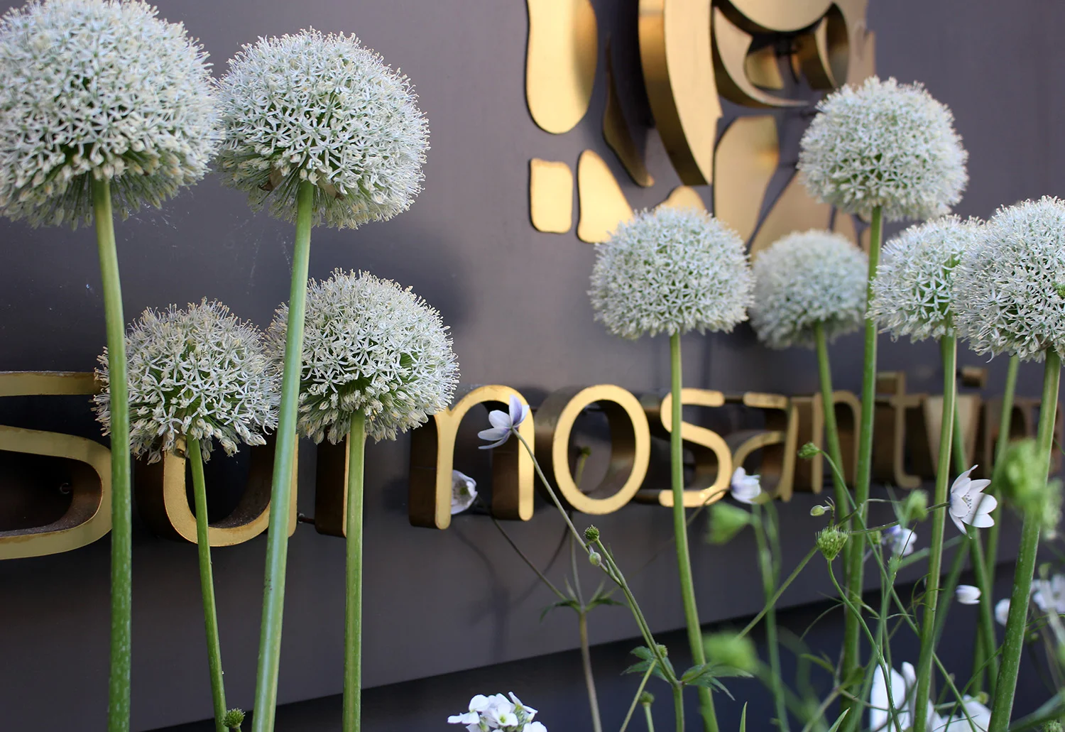 chelsea-in-bloom-london-bespoke-copper-planter-alliums.jpg