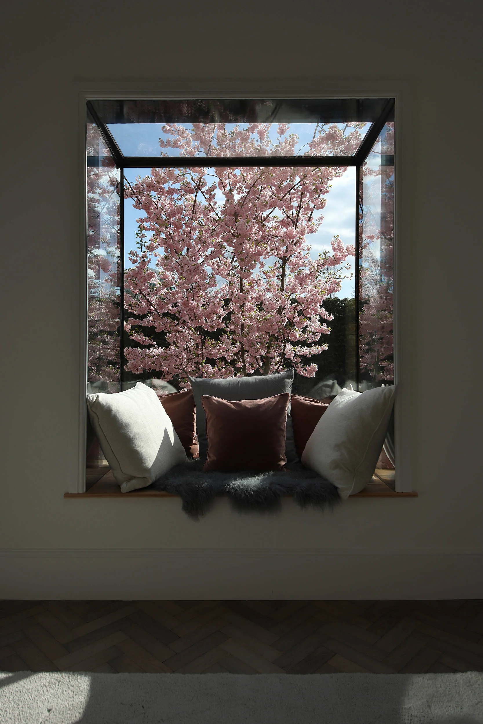 west-london-courtyard-oriel-window-sakura-blossom.jpg