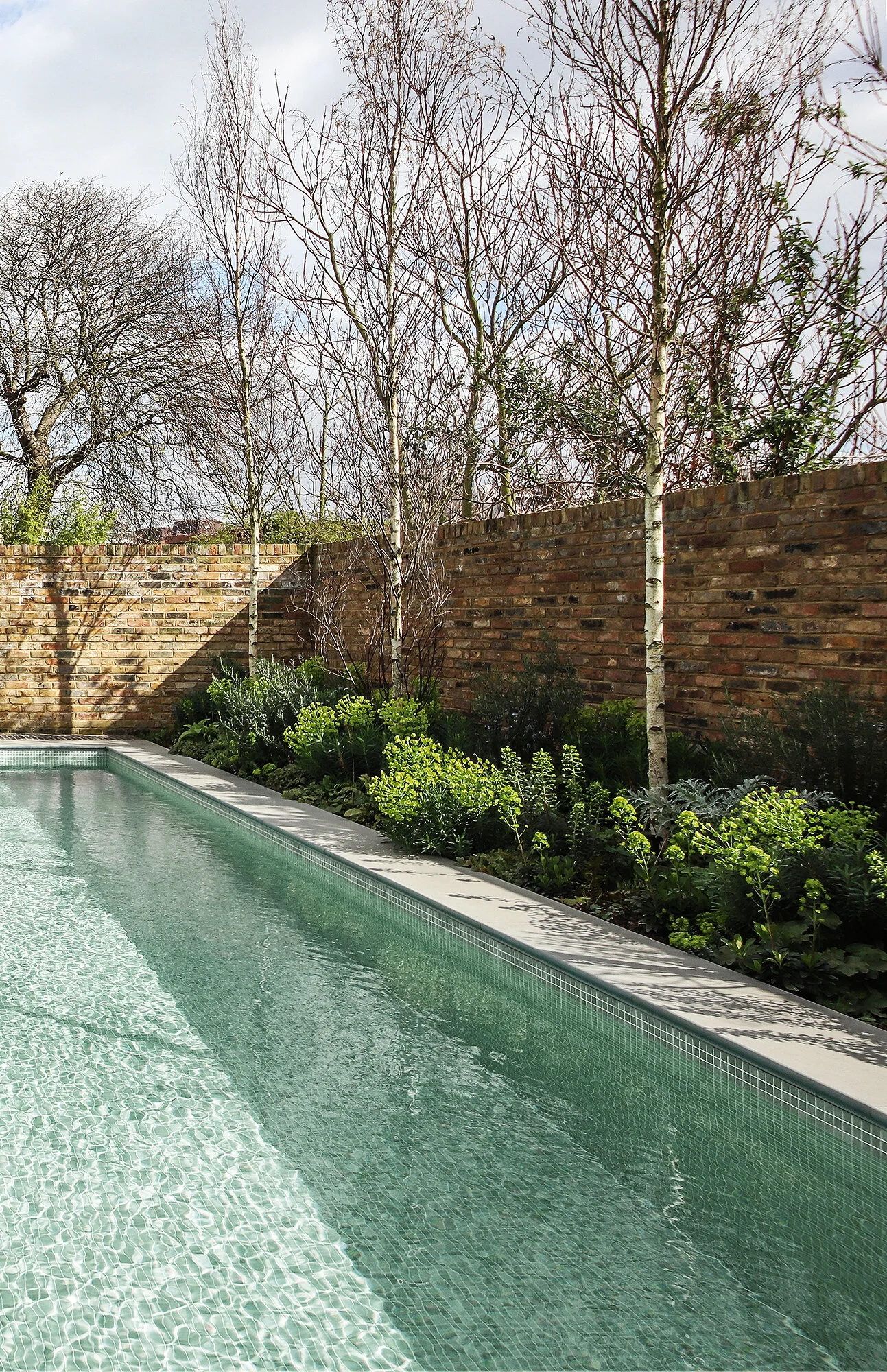 small terrace garden with swimming pool on West London Garden With Swimming Pool
