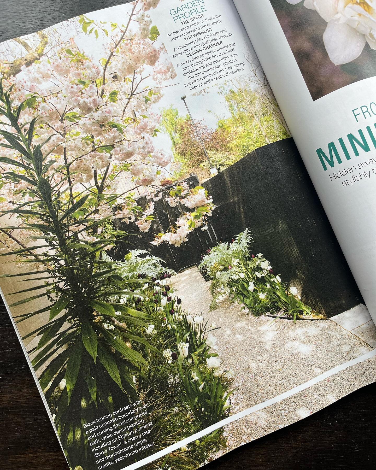 Our Camden project is featured in @housebeautifuluk this month! Thank you @natasha_goodfellow for the wonderful write up, @eva_nemeth for your ever enchanting photography and also to my lovely client for agreeing to be interviewed 🌸