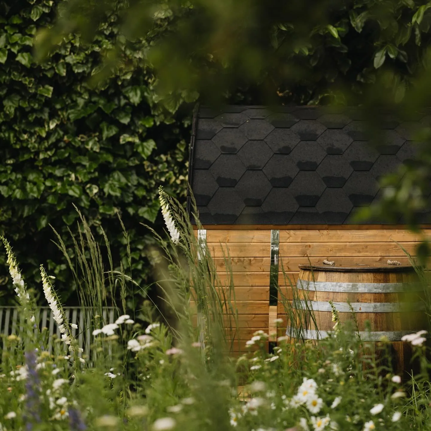 Cold plunge amongst foxgloves

Design @alexandra.noble
Build @collinsonslandscaping 
Photography @eva_nemeth