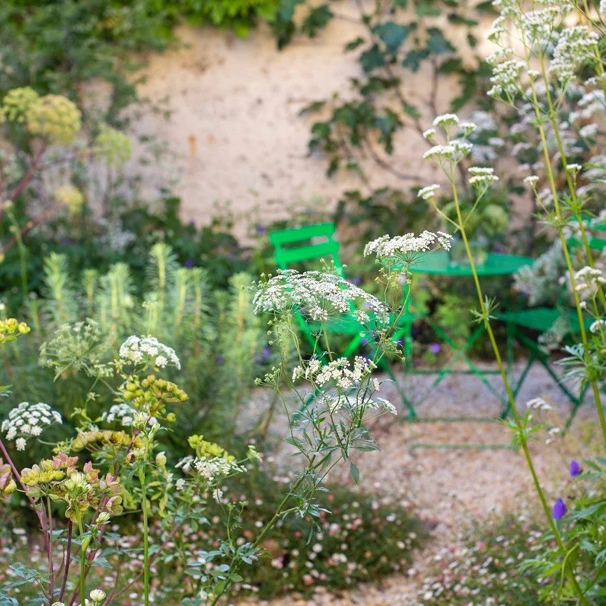 Summer umbels

Although I designed this garden back in 2018, seven years on, key elements still weave through gardens I am creating today

- Prioritising planting space over hard landscaping

- Specifying a rich variety of plants to support pollinato