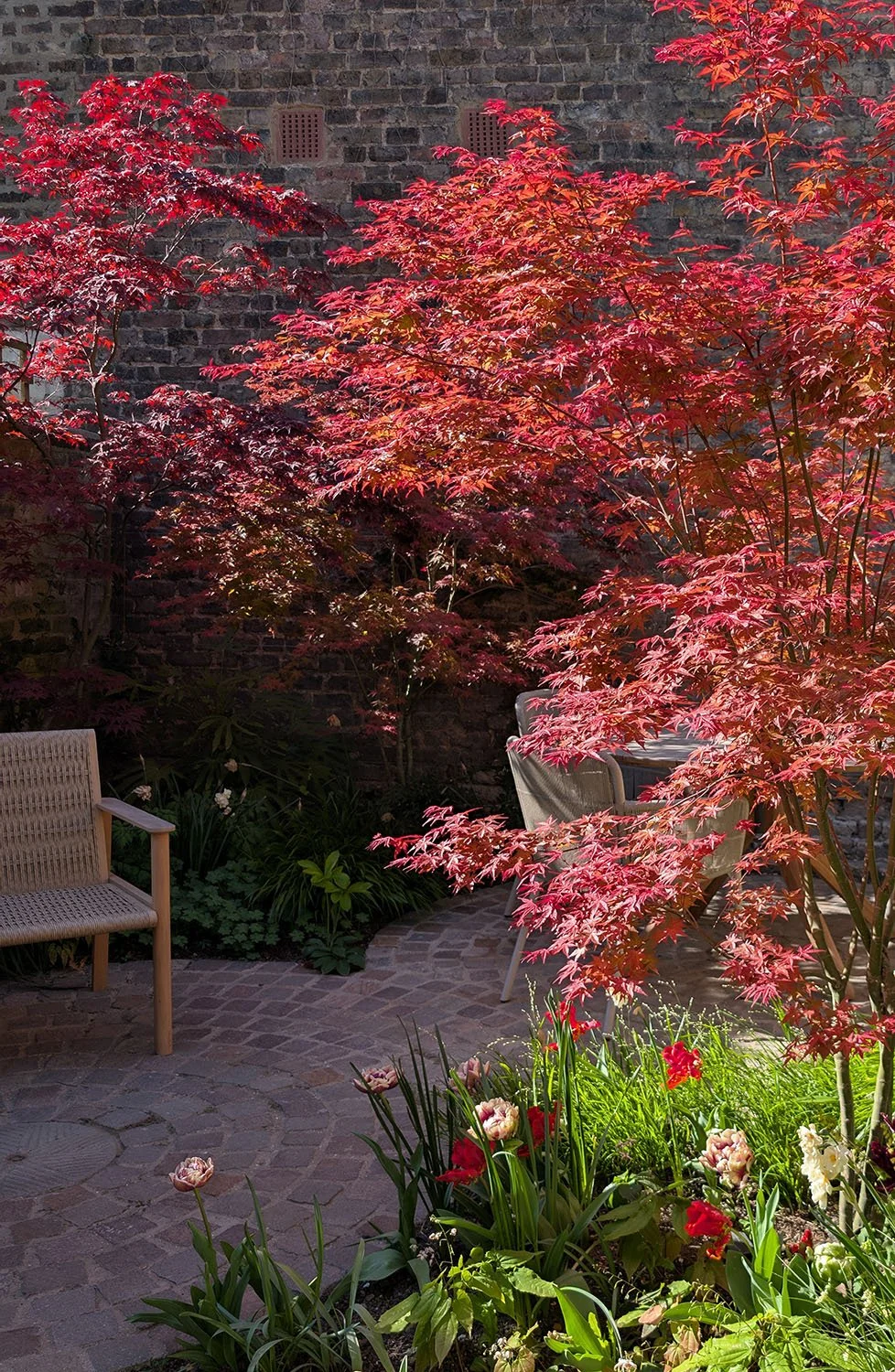 Islington Courtyard Garden