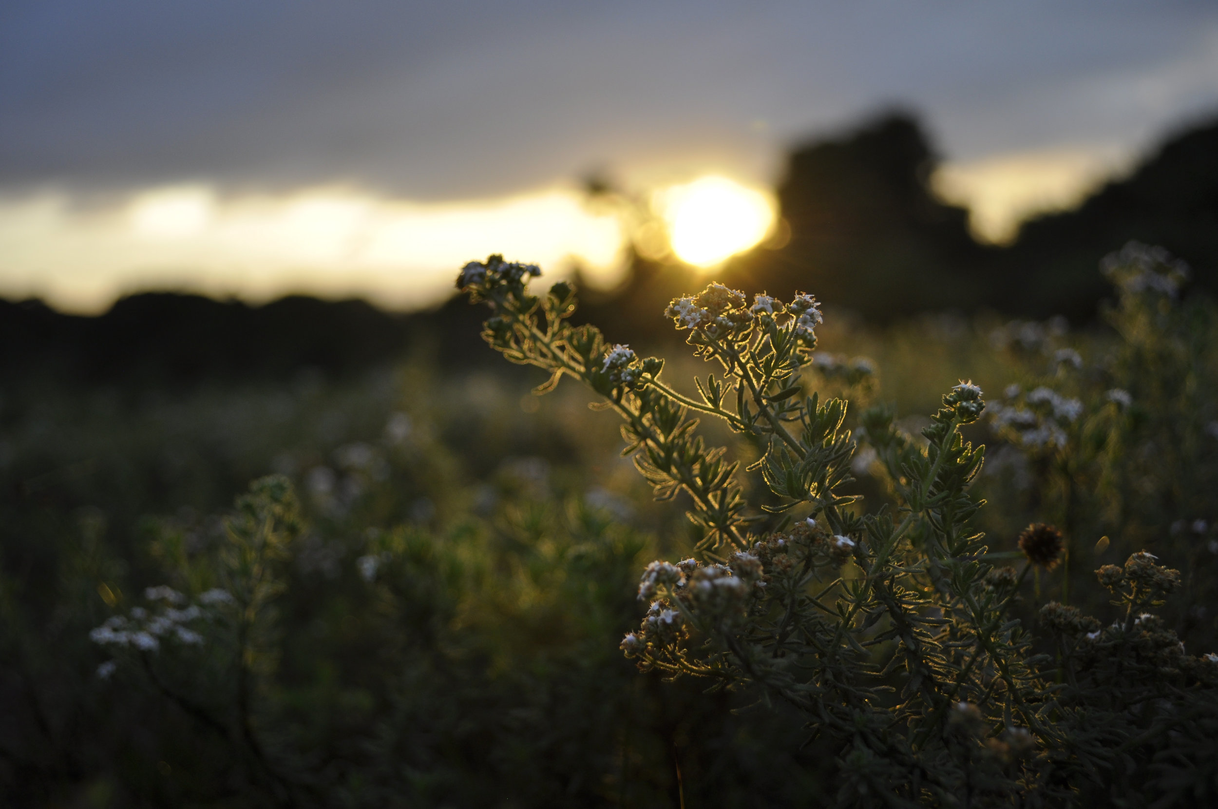 Landscapes and Nature04.JPG