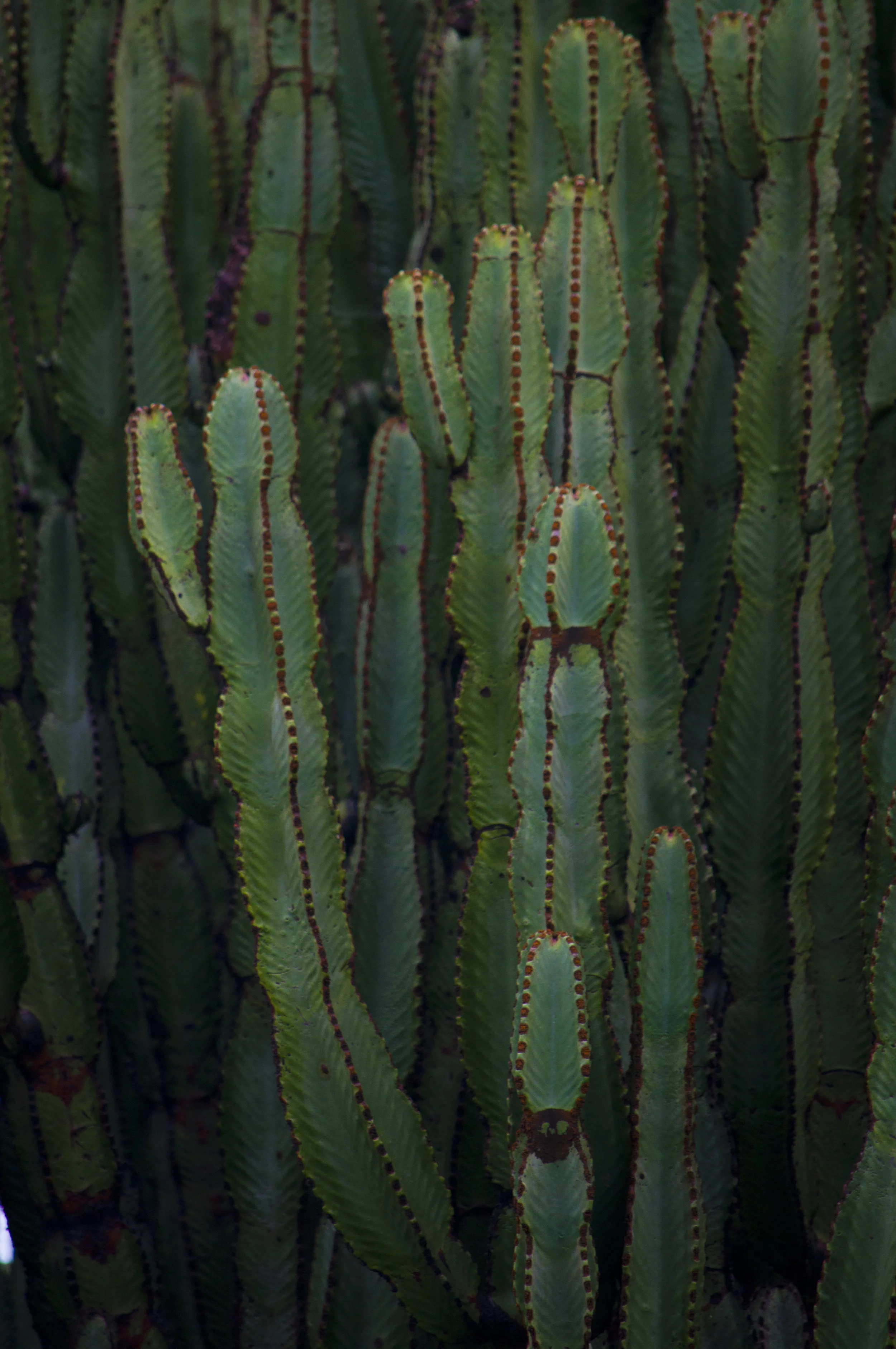Landscapes and Nature06.JPG