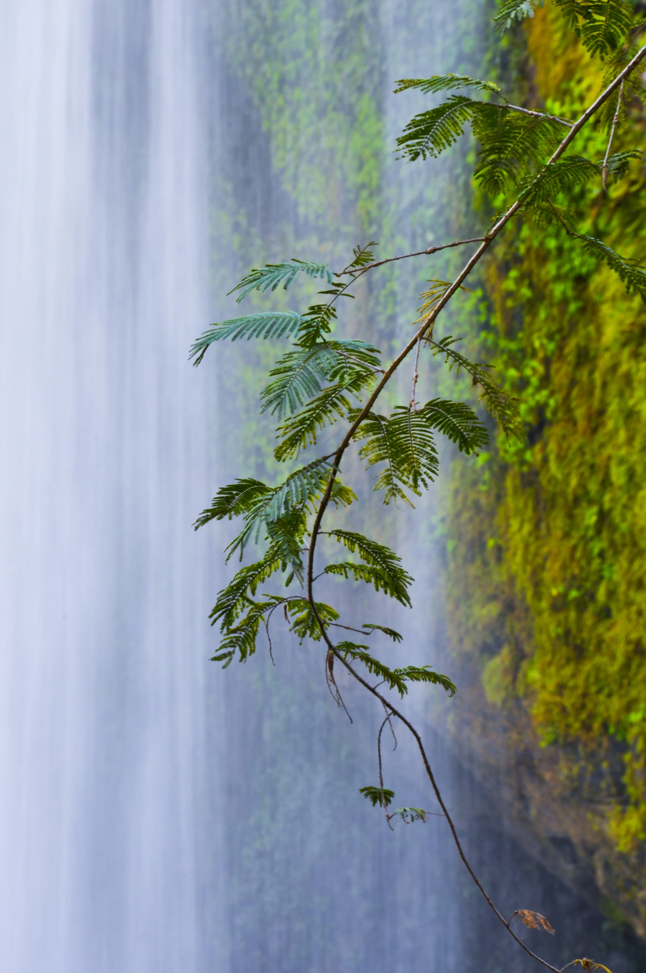 Landscapes and Nature18.JPG