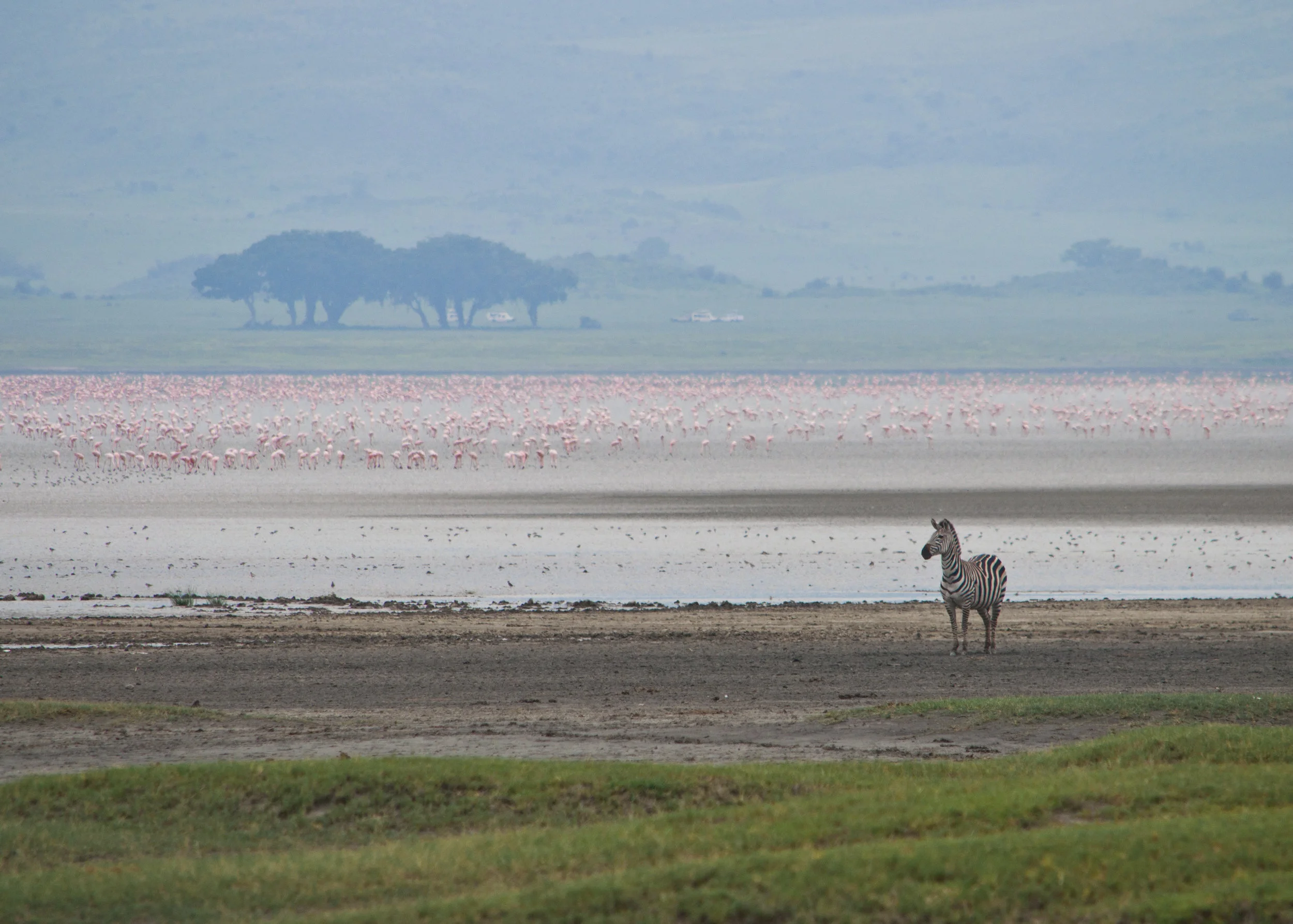 Wildlife24.JPG