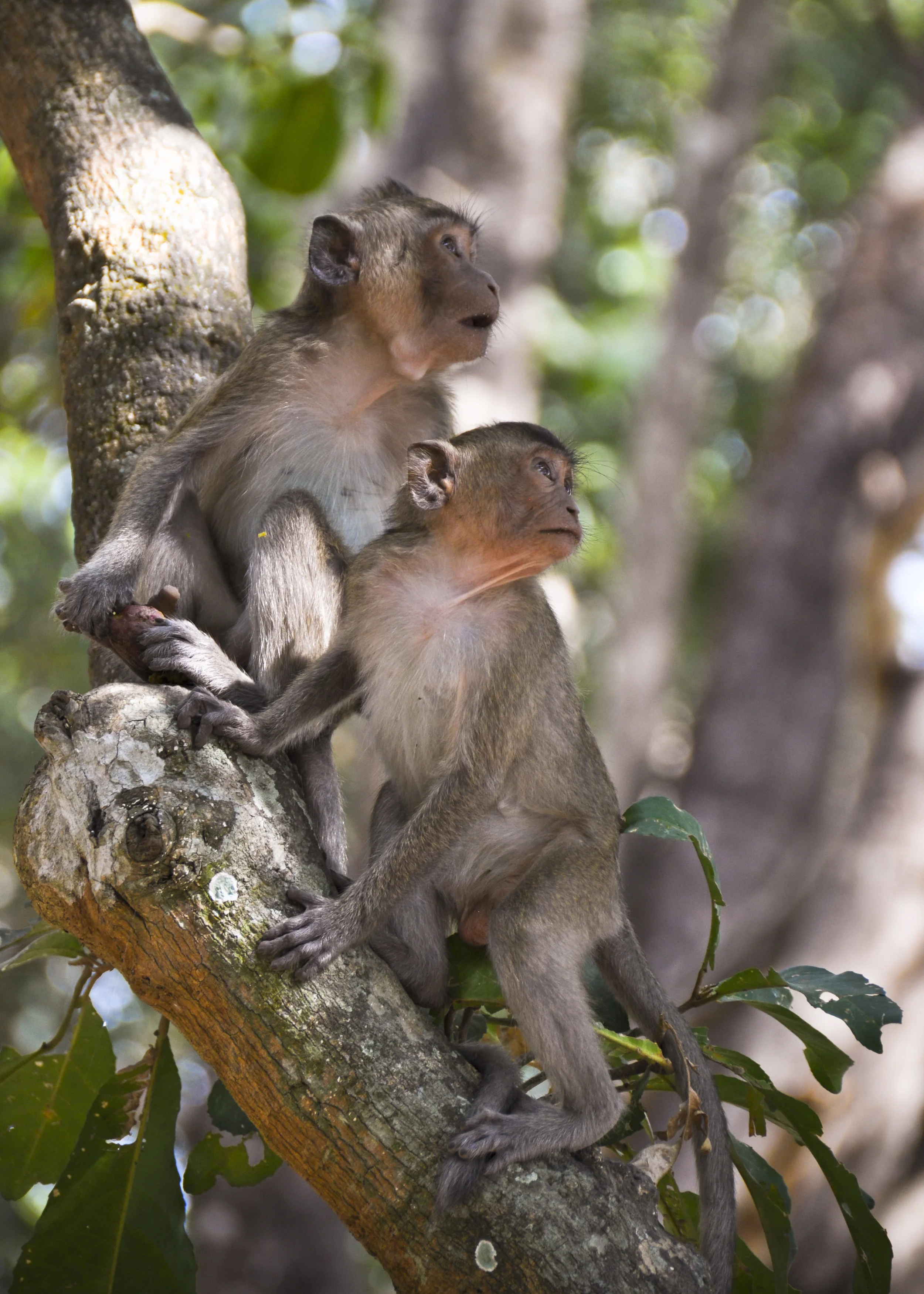 Wildlife31.JPG