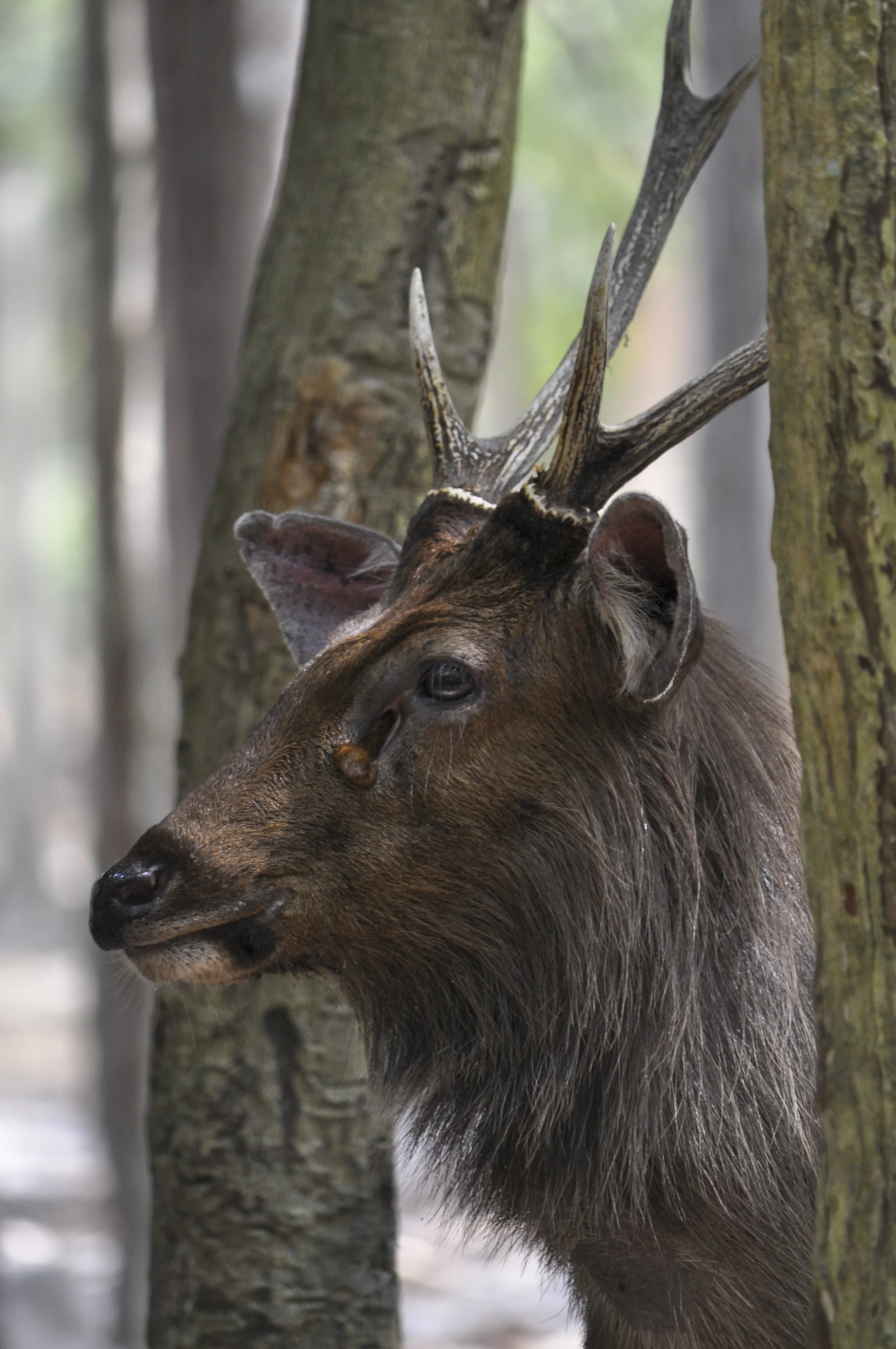 Wildlife32.JPG