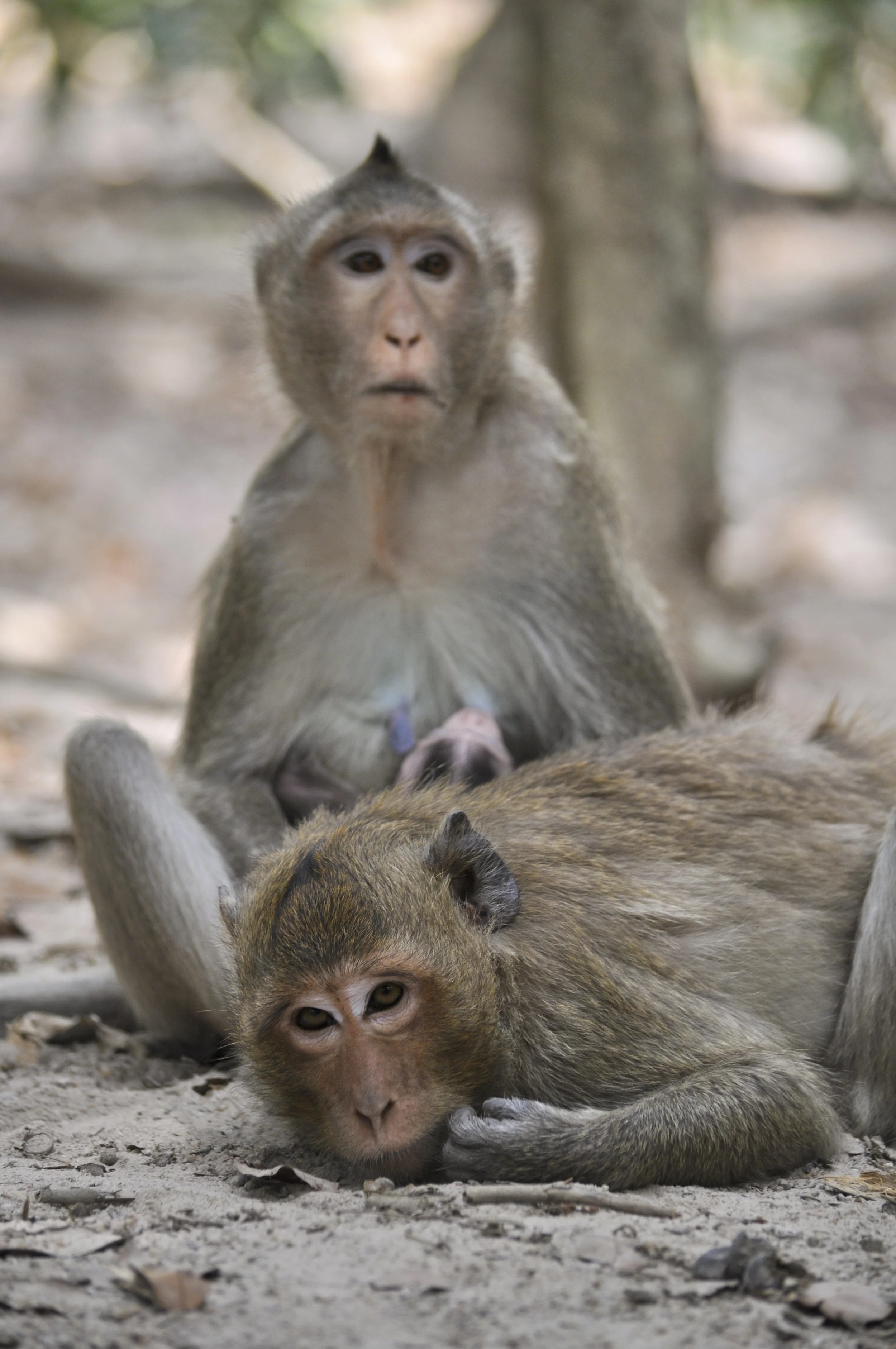 Wildlife33.JPG