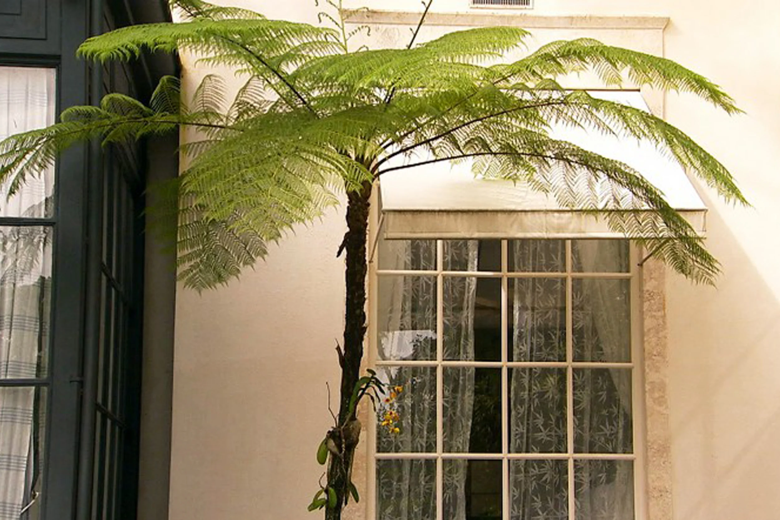 CasaColonial10.jpg