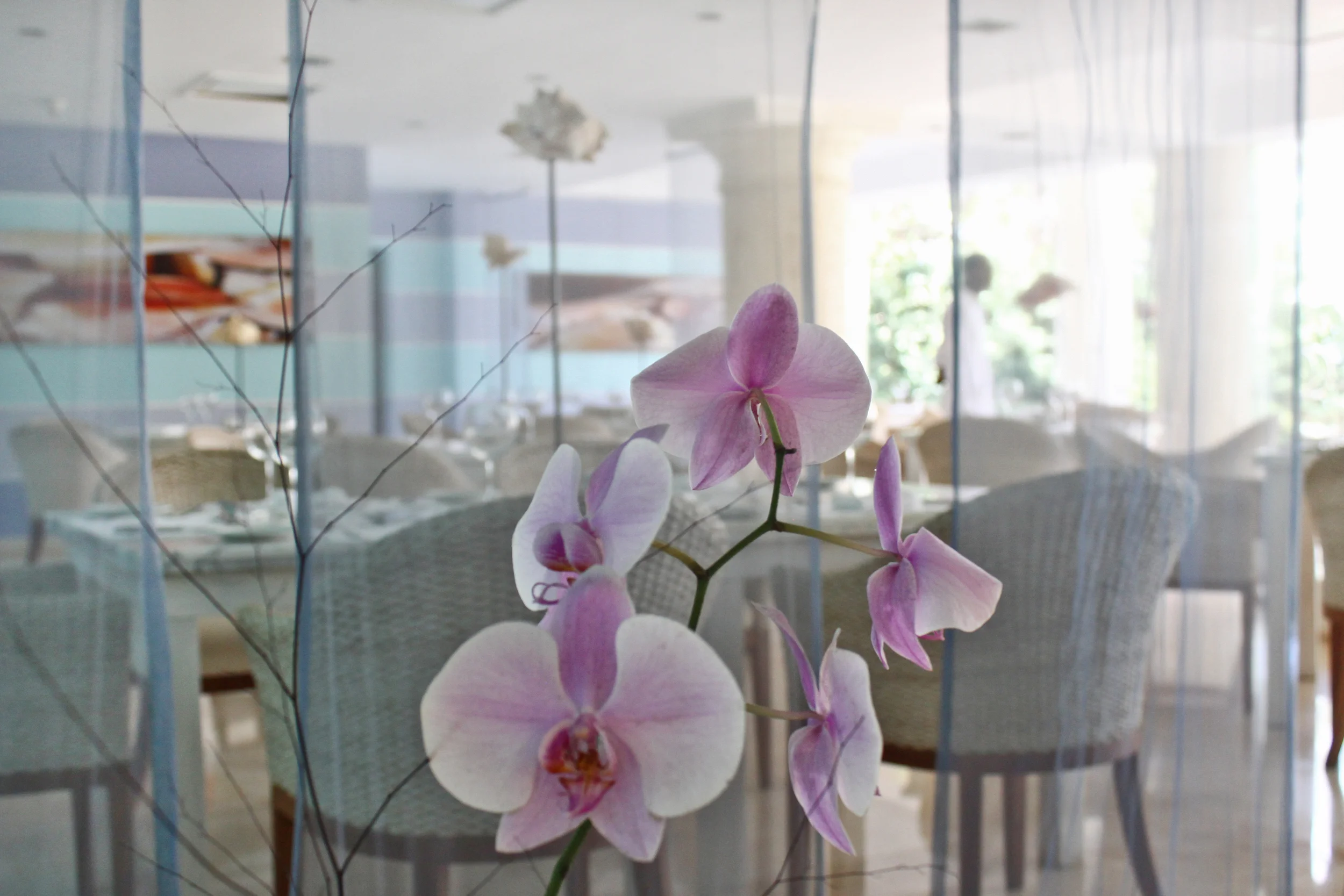 Veranda1.jpg