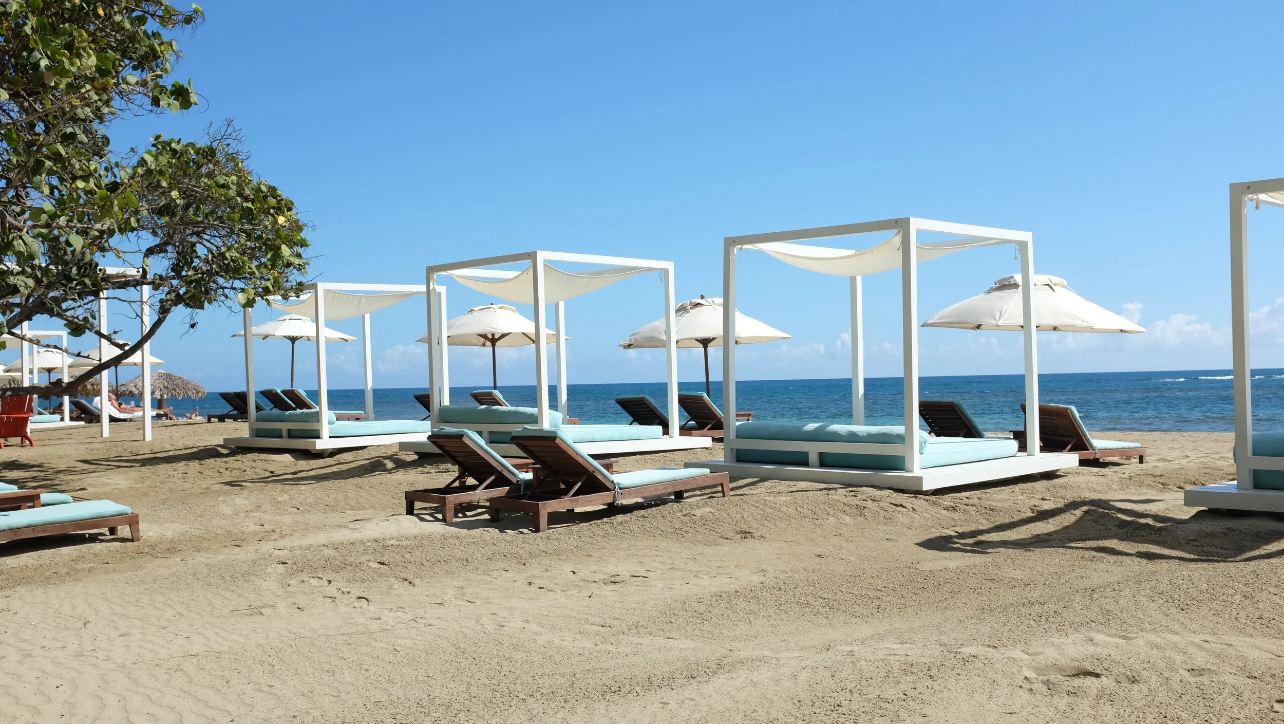 DSCF4693.jpg