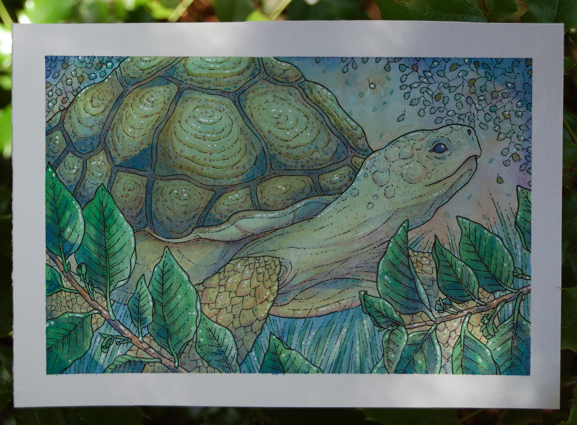 ***SOLD*** Original Tortoise Painting