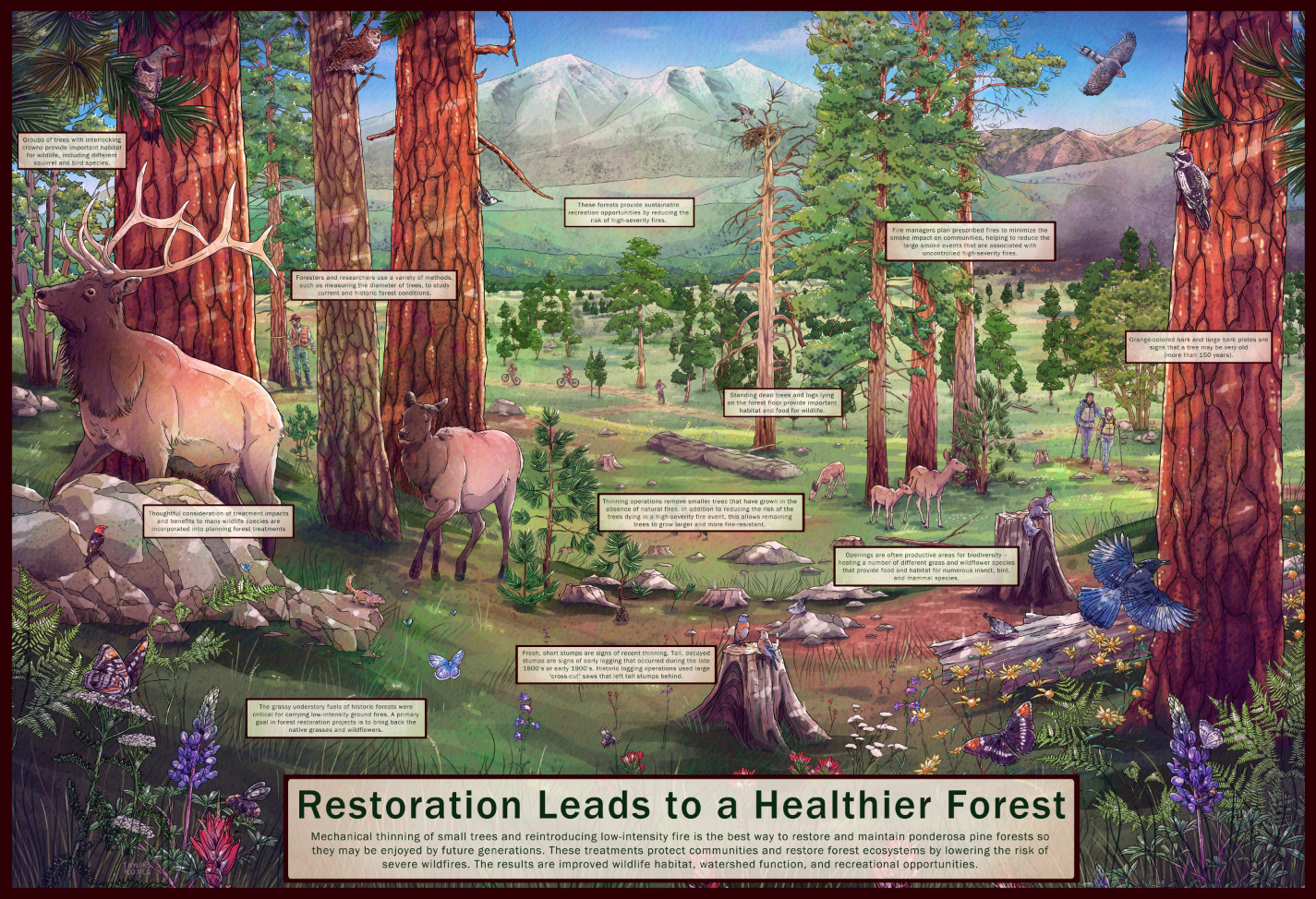 Greater Flagstaff Forests Partnership/Educational Panel