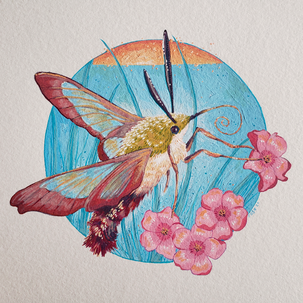 ***SOLD*** Hummingbird Moth - Original Painting