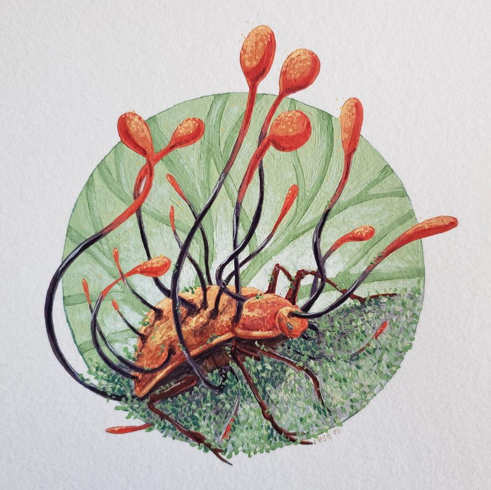 ***SOLD*** Ophiocordyceps and Beetle - Original Painting