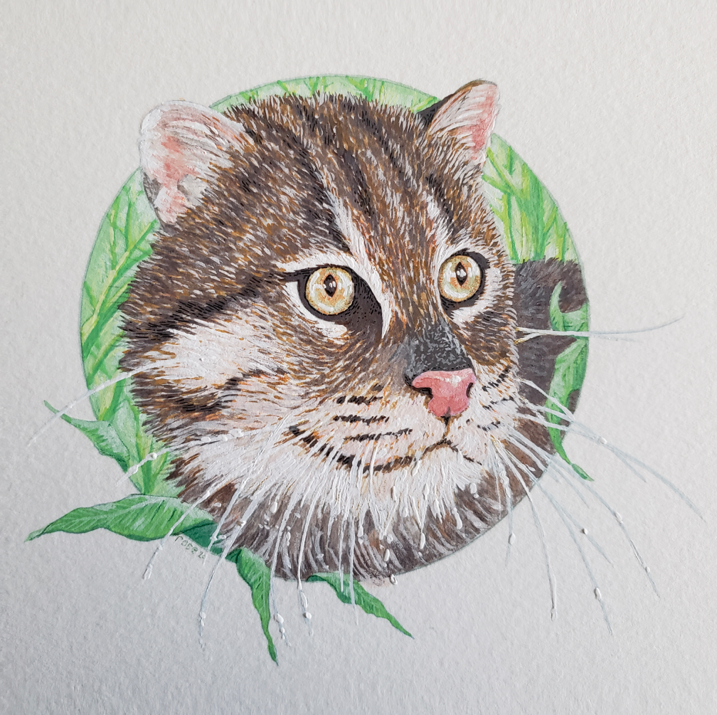 ***SOLD*** Fishing Cat - Original Painting
