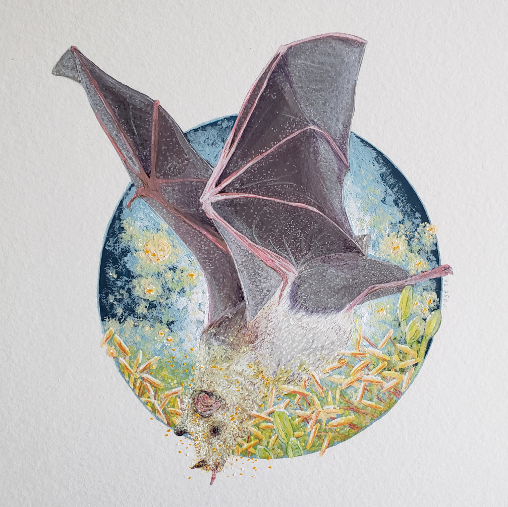 Lesser Long-Nosed Bat - Original Painting
