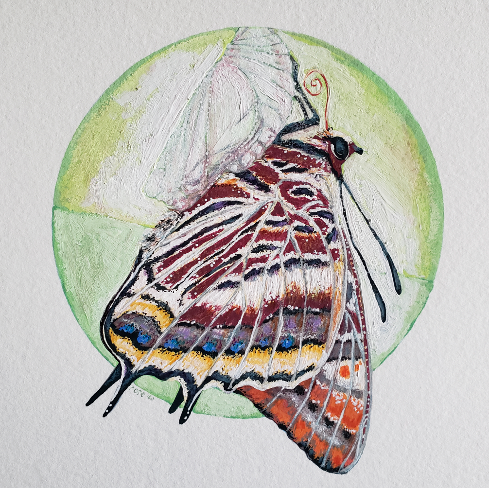 ***SOLD*** Two-Tailed Pasha Butterfly - Original Painting