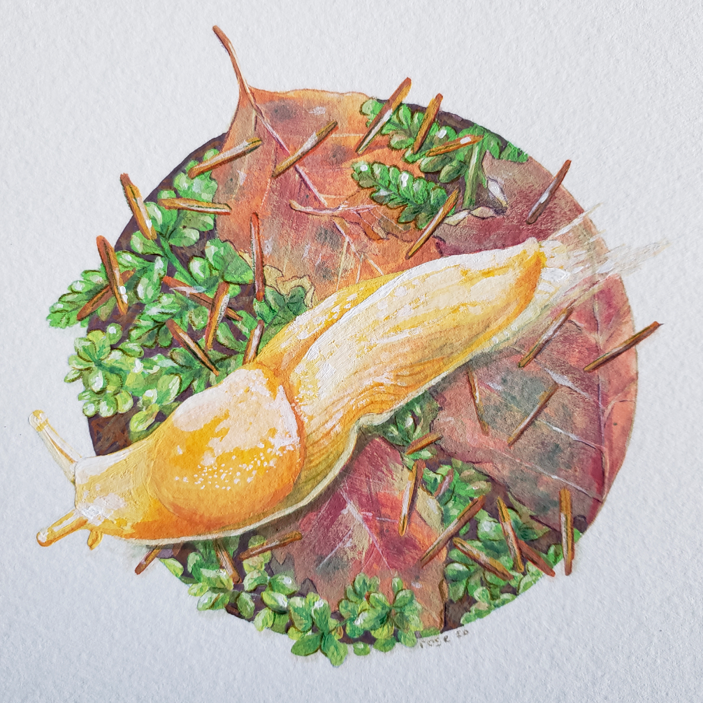 ***SOLD*** Banana Slug - Original Painting