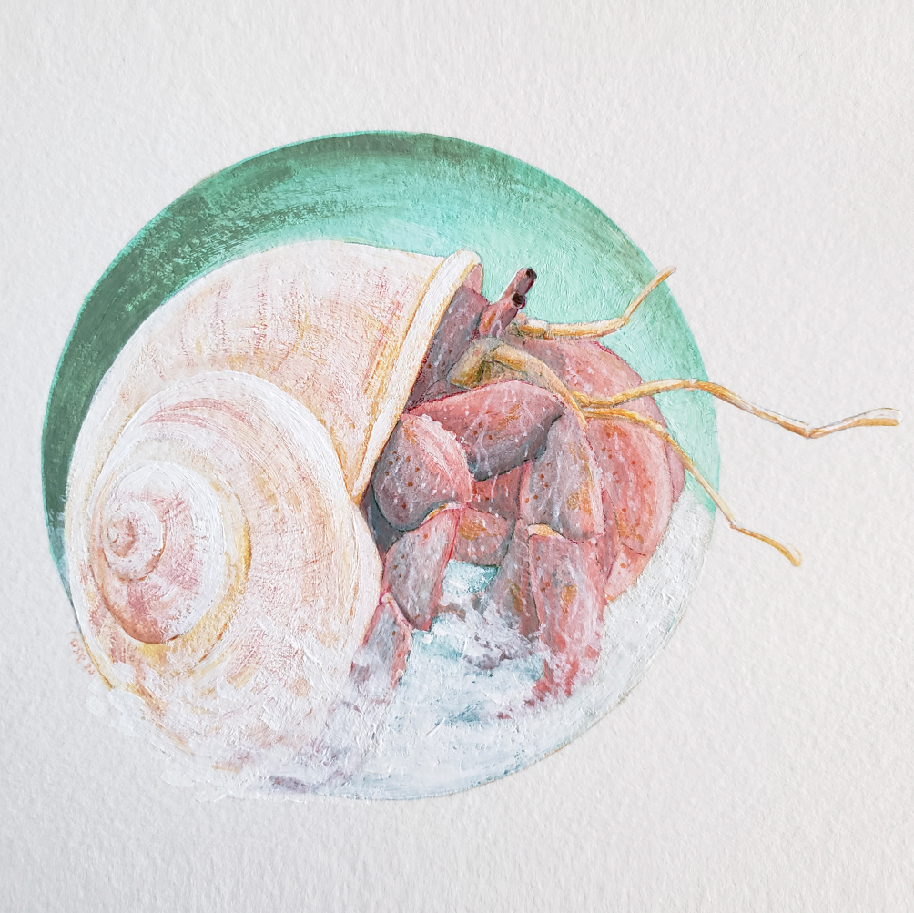 Hermit Crab - Original Painting