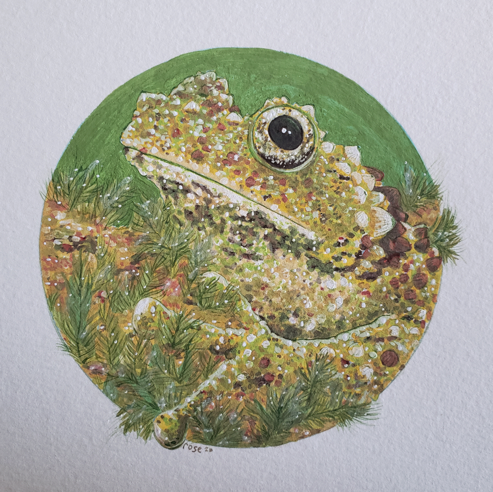 ***SOLD*** Vietnamese Mossy Frog - Original Painting