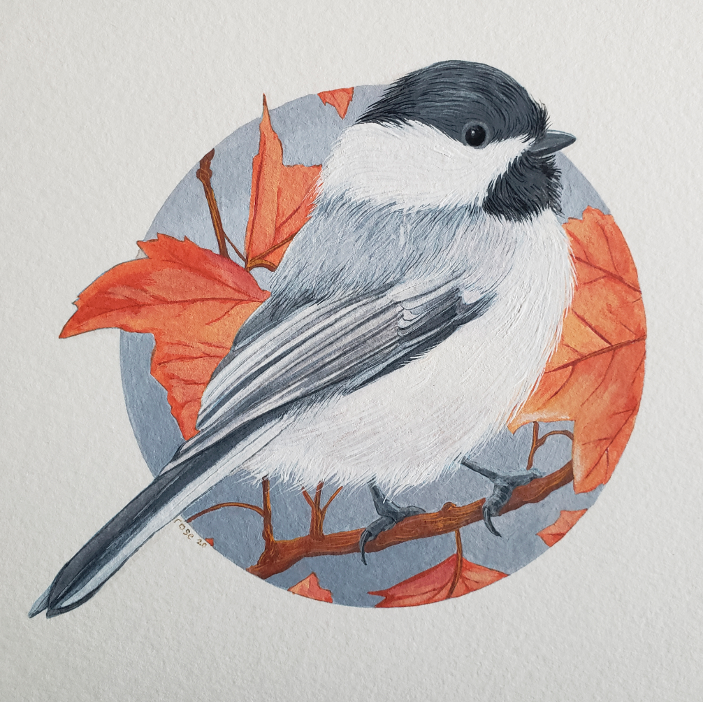 ***SOLD*** Black-Capped Chickadee - Original Painting