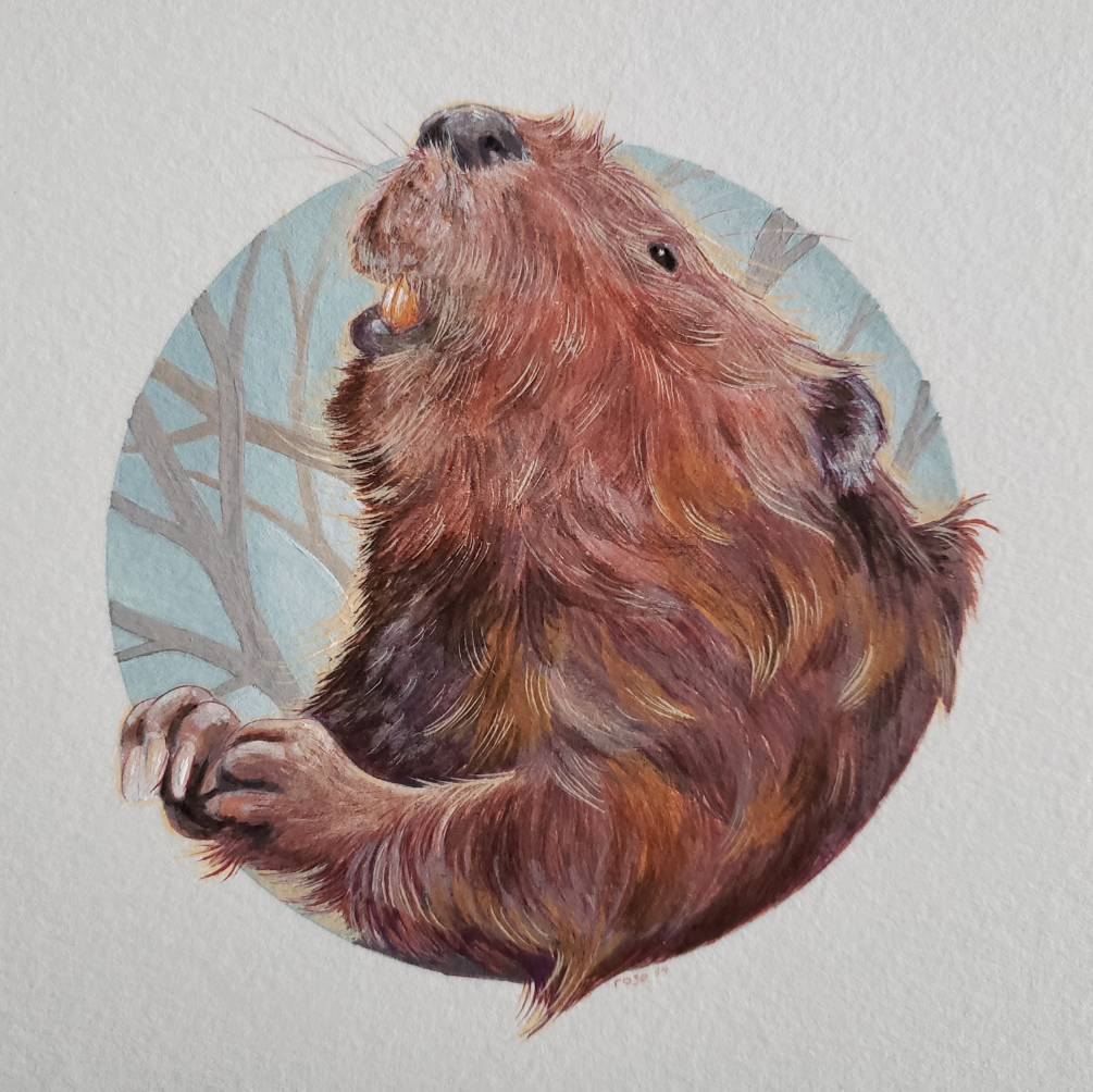 ***SOLD*** Beaver - Original Painting