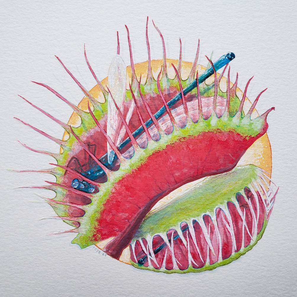 Venus Fly Traps and Damselflies - Original Painting