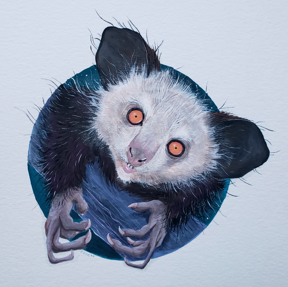 ***SOLD*** Aye-Aye - Original Painting