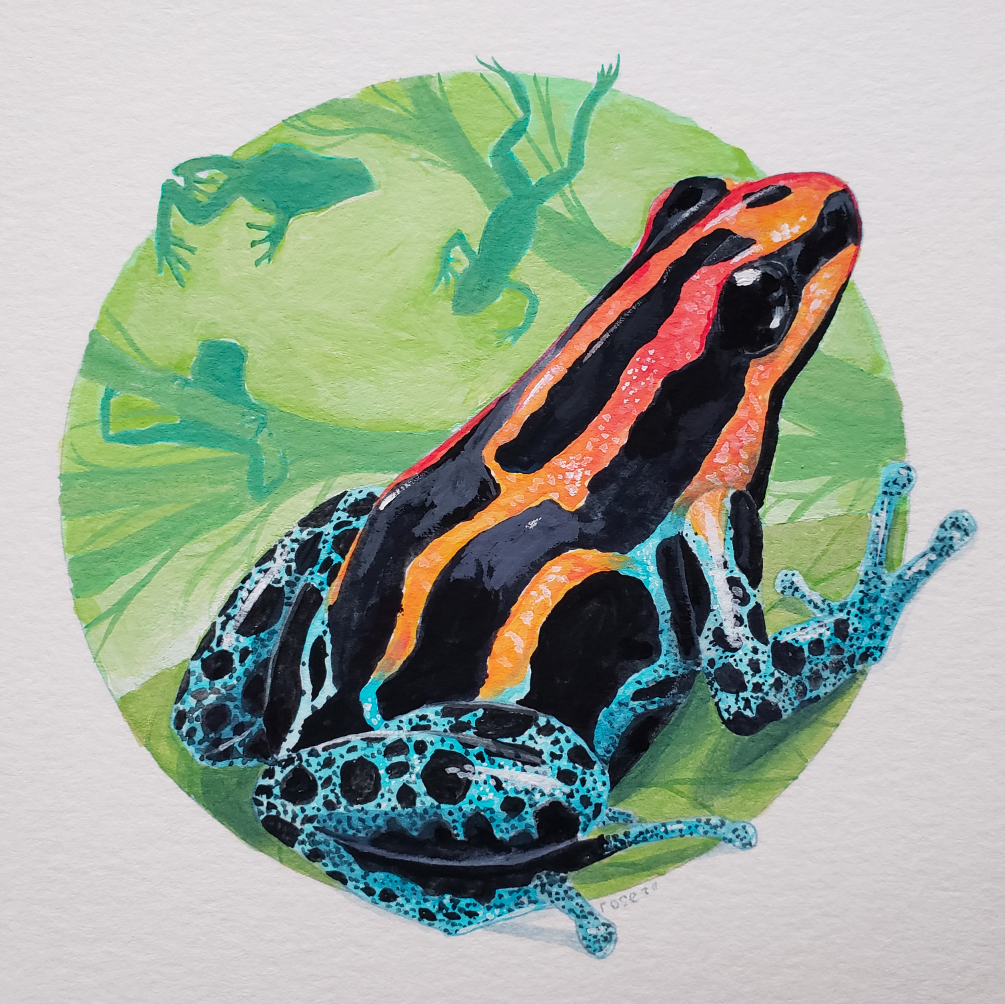 Poison Dart Frog - Original Painting