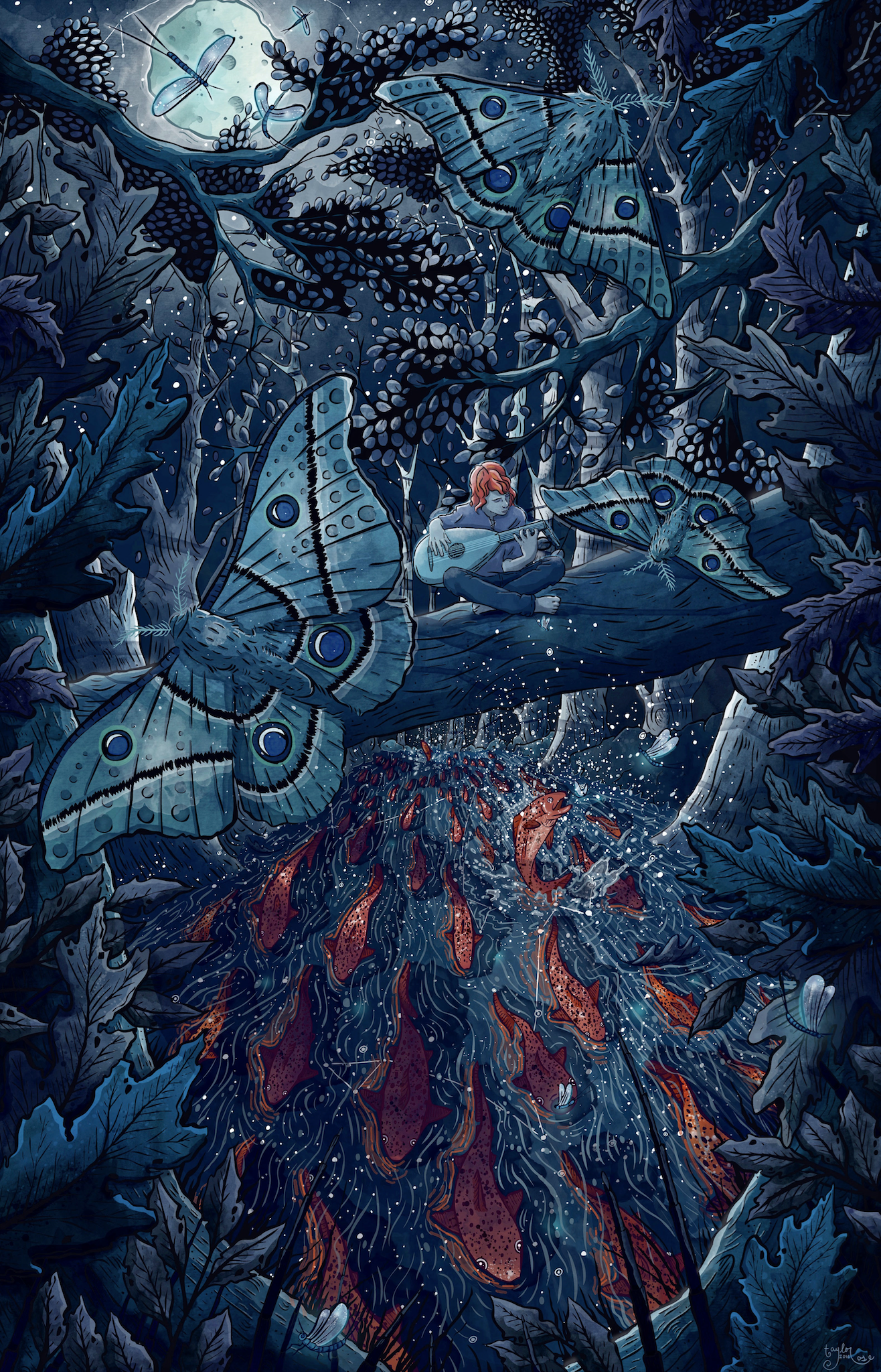 Fingers and Strings (2nd Edition)
