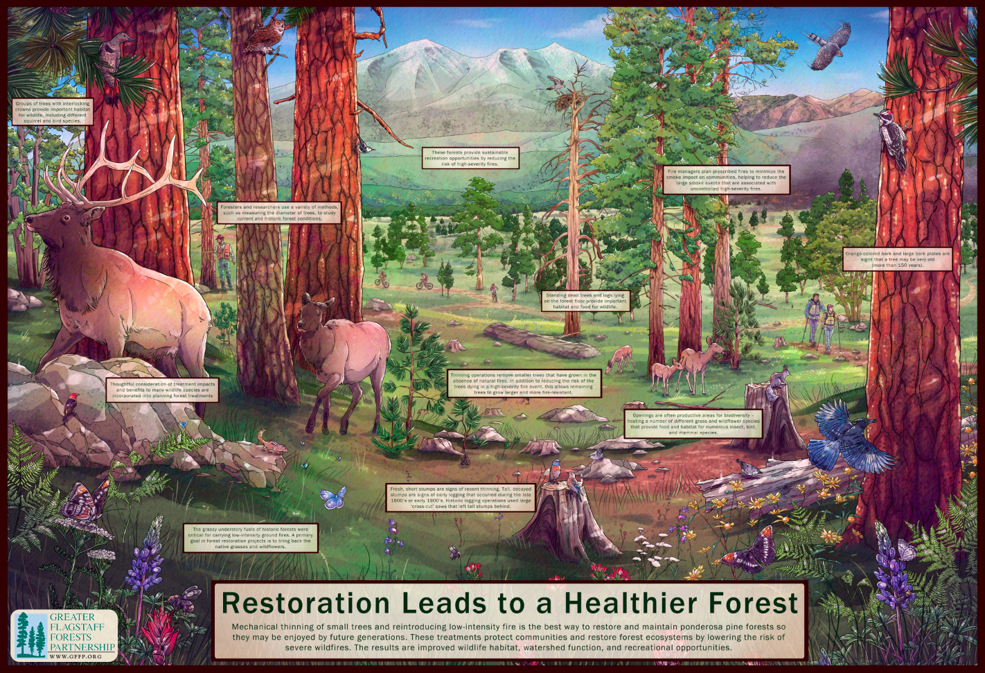    Greater Flagstaff Forests Partnership    interpretive trailhead sign 