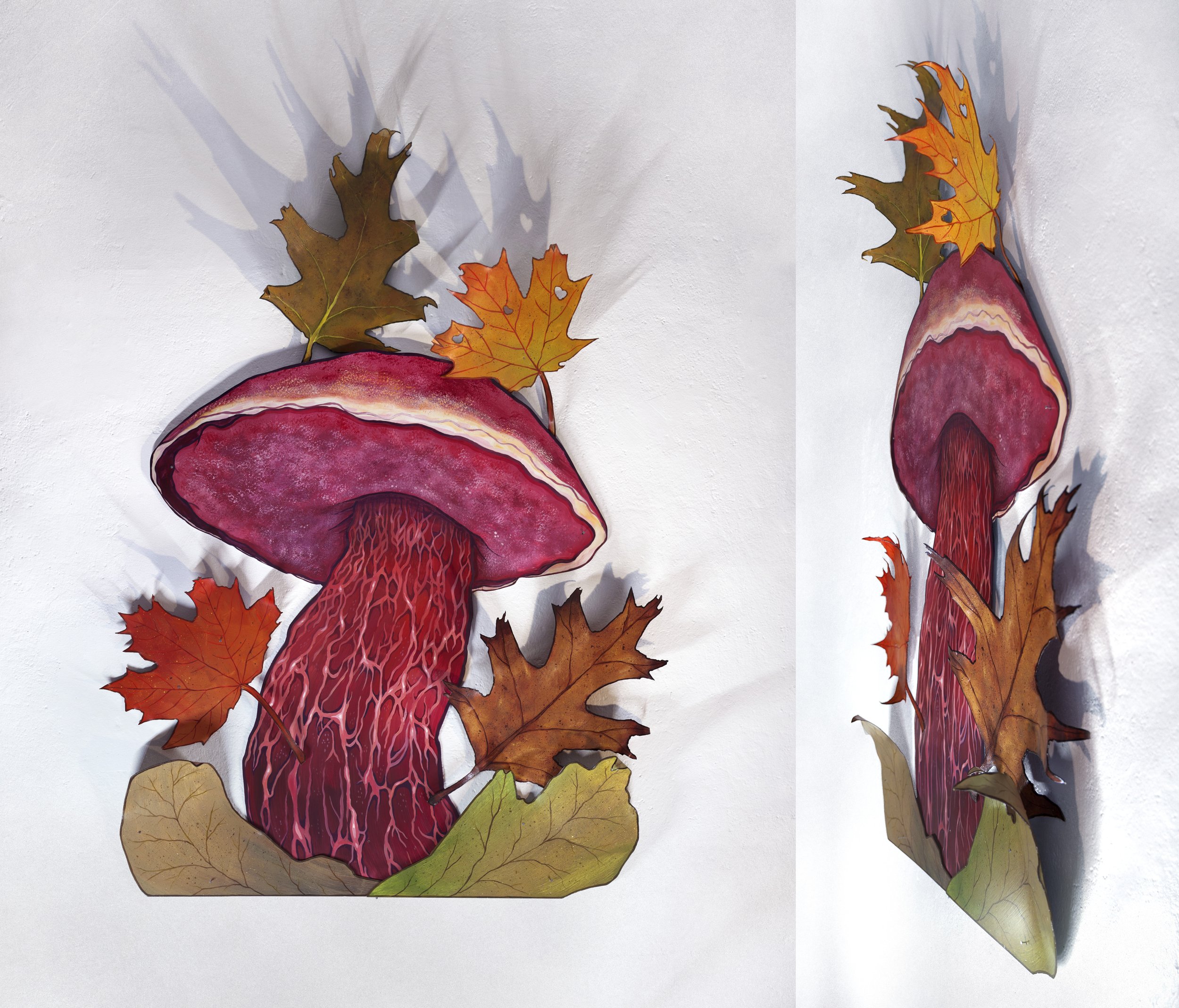 Frost’s Bolete and Leaves