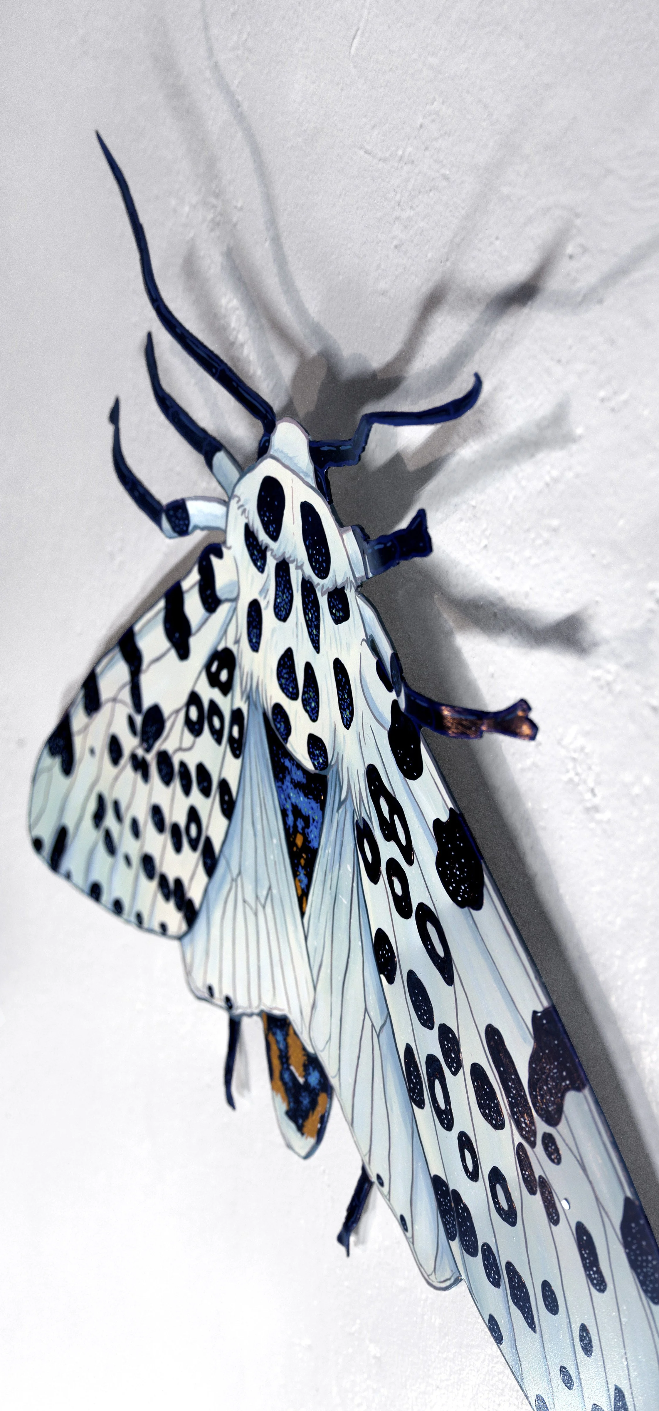 2-leopard moth.jpg