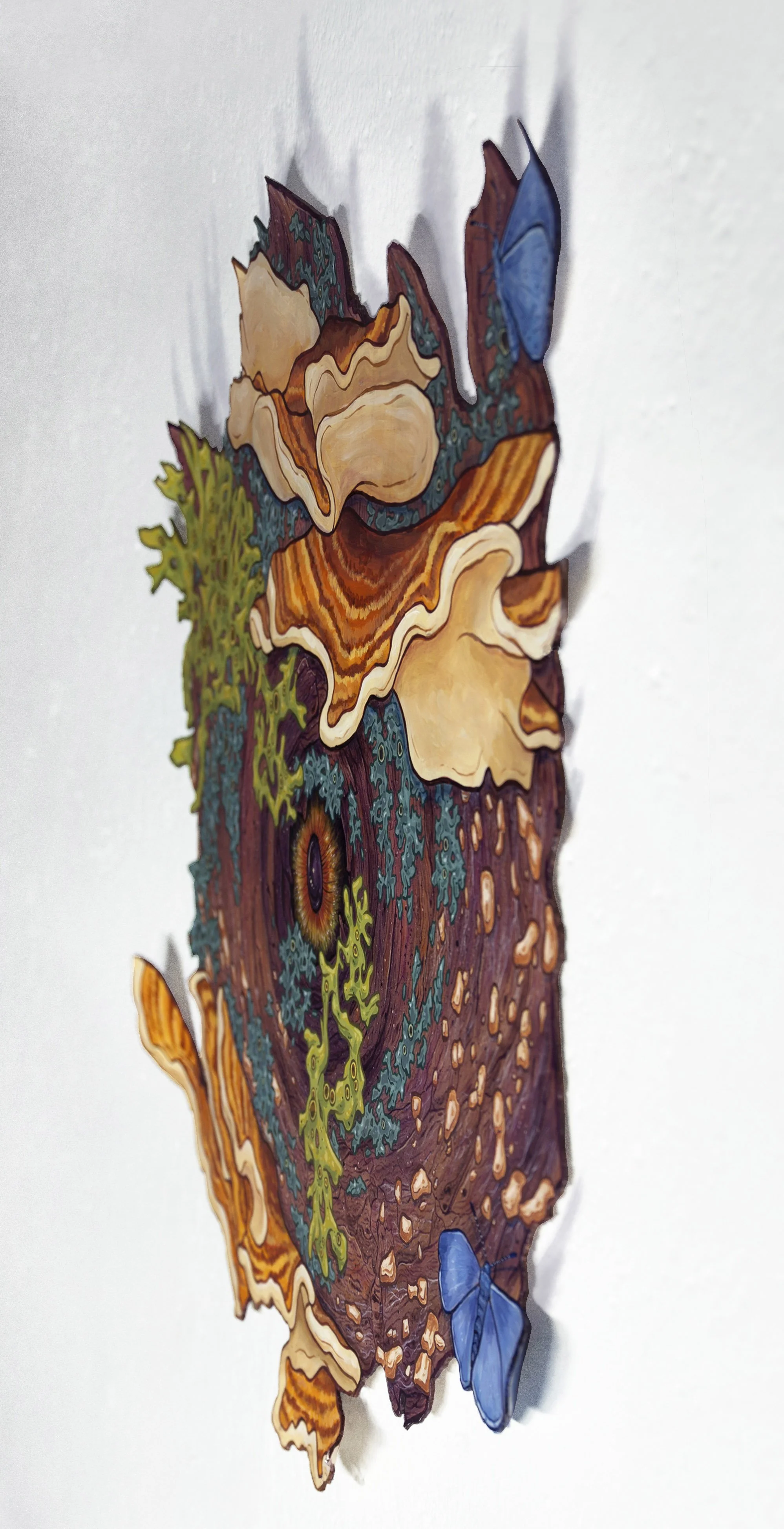 2-Tree Eye.jpg
