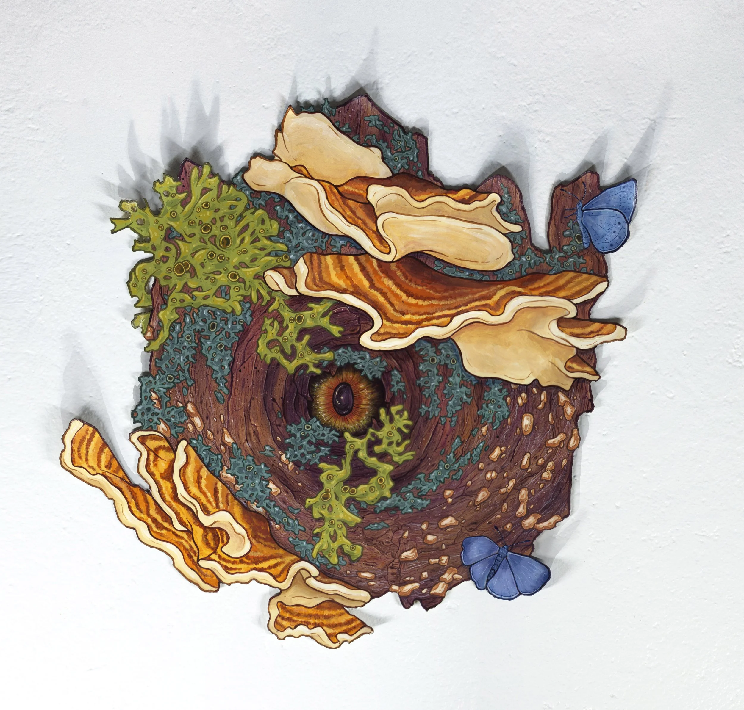 1-Tree Eye.jpg