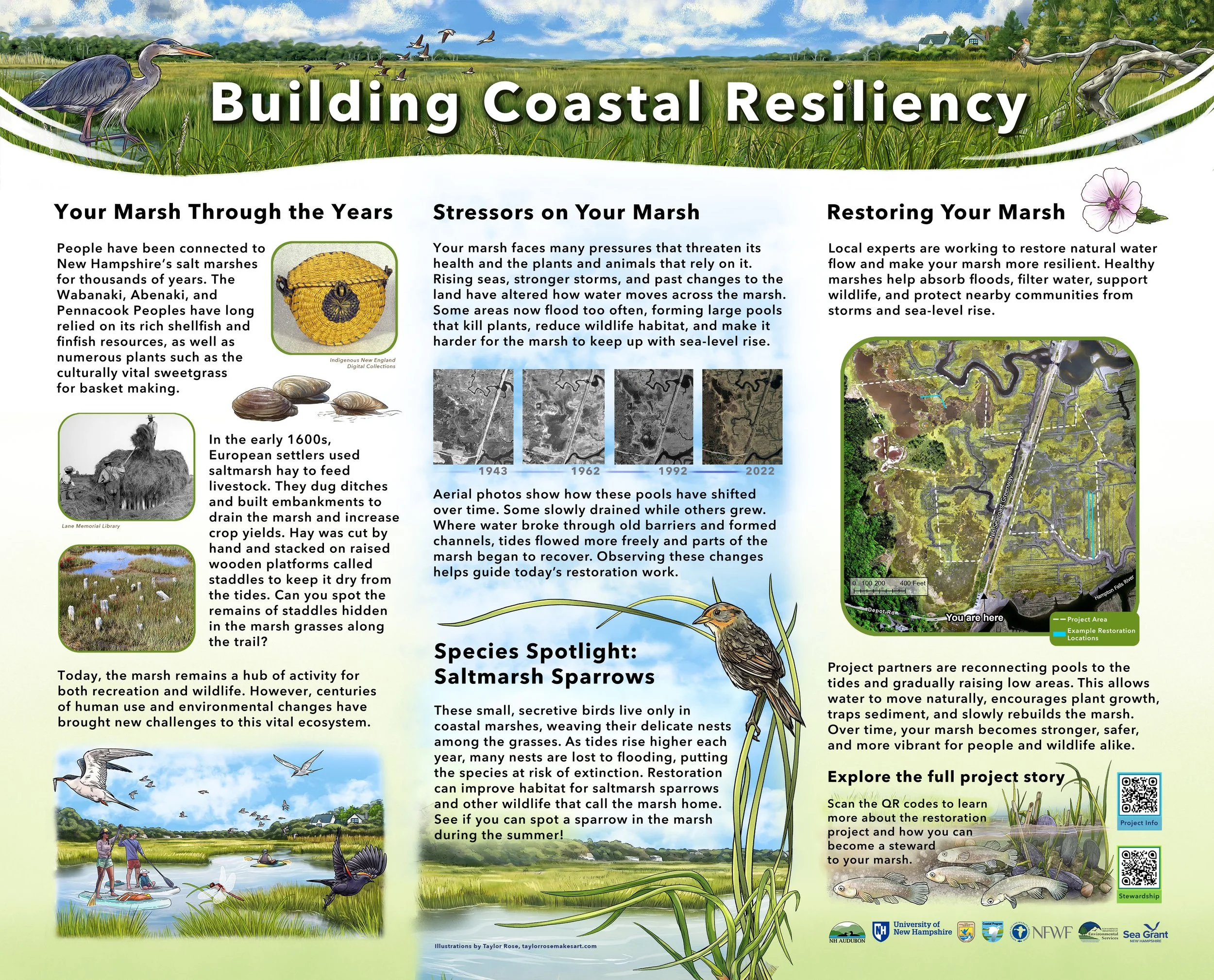    Building Coastal Resiliency   educational kiosk display in Hampton Falls, NH. Contracted by New Hampshire Audubon, the U.S. Fish and Wildlife Service’s Gulf of Maine Coastal Program, and the University of New Hampshire. 