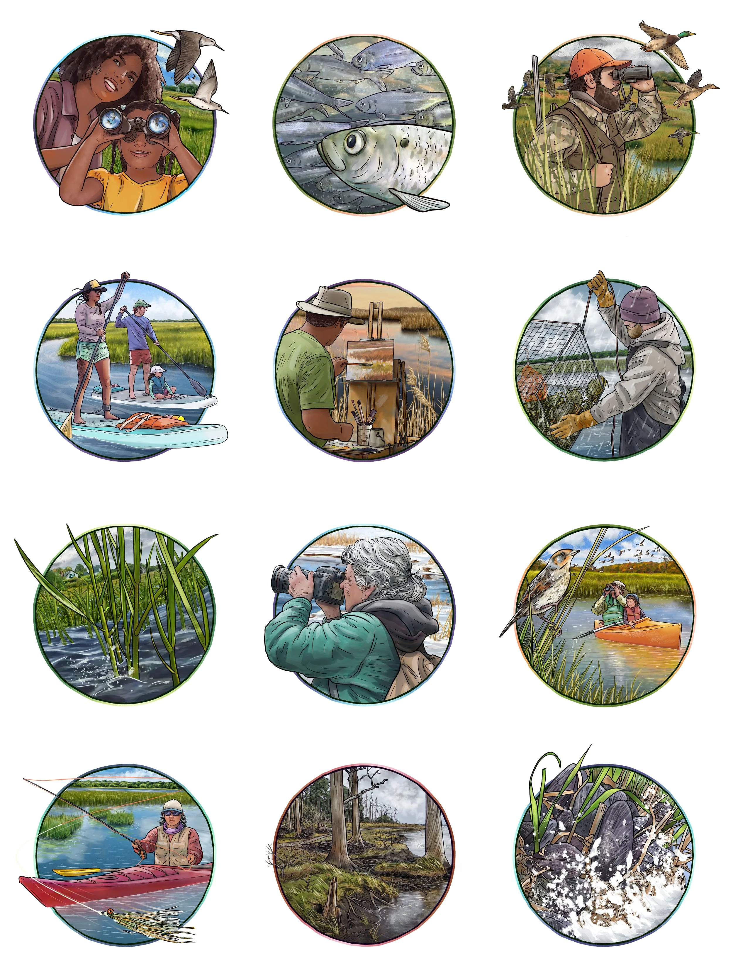    Caring for Our Marshes  , spot illustrations contracted by and for the  New Hampshire Department of Environmental Services Coastal Program  and the Great Bay National Estuarine Research Reserve. 